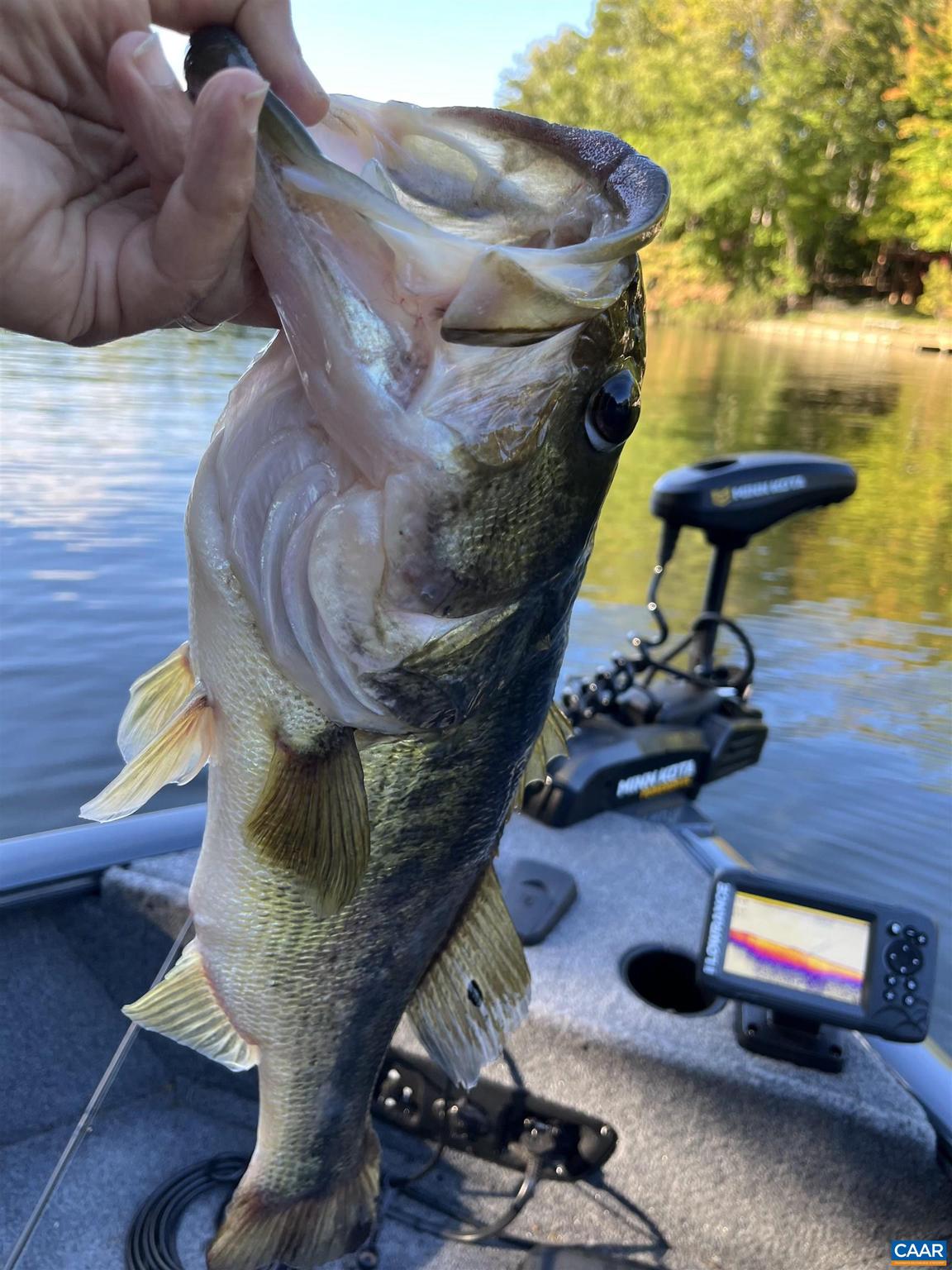 LAKE MONTICELLO - Residential