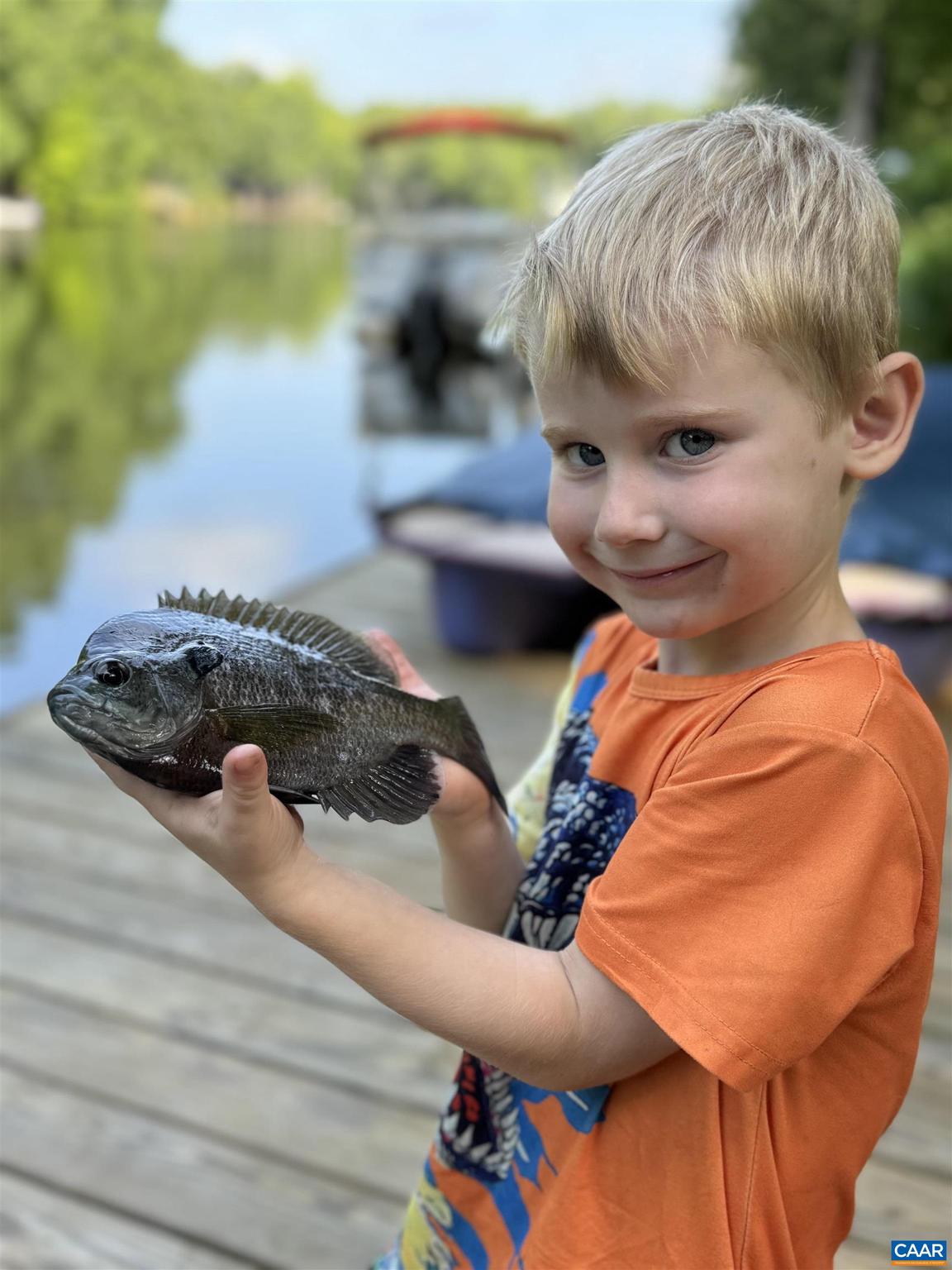 LAKE MONTICELLO - Residential