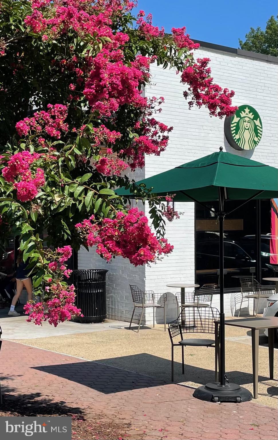 WINTER HILL - Residential Lease