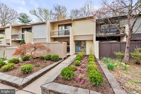 11711 NEWBRIDGE COURT RESTON VA 20191