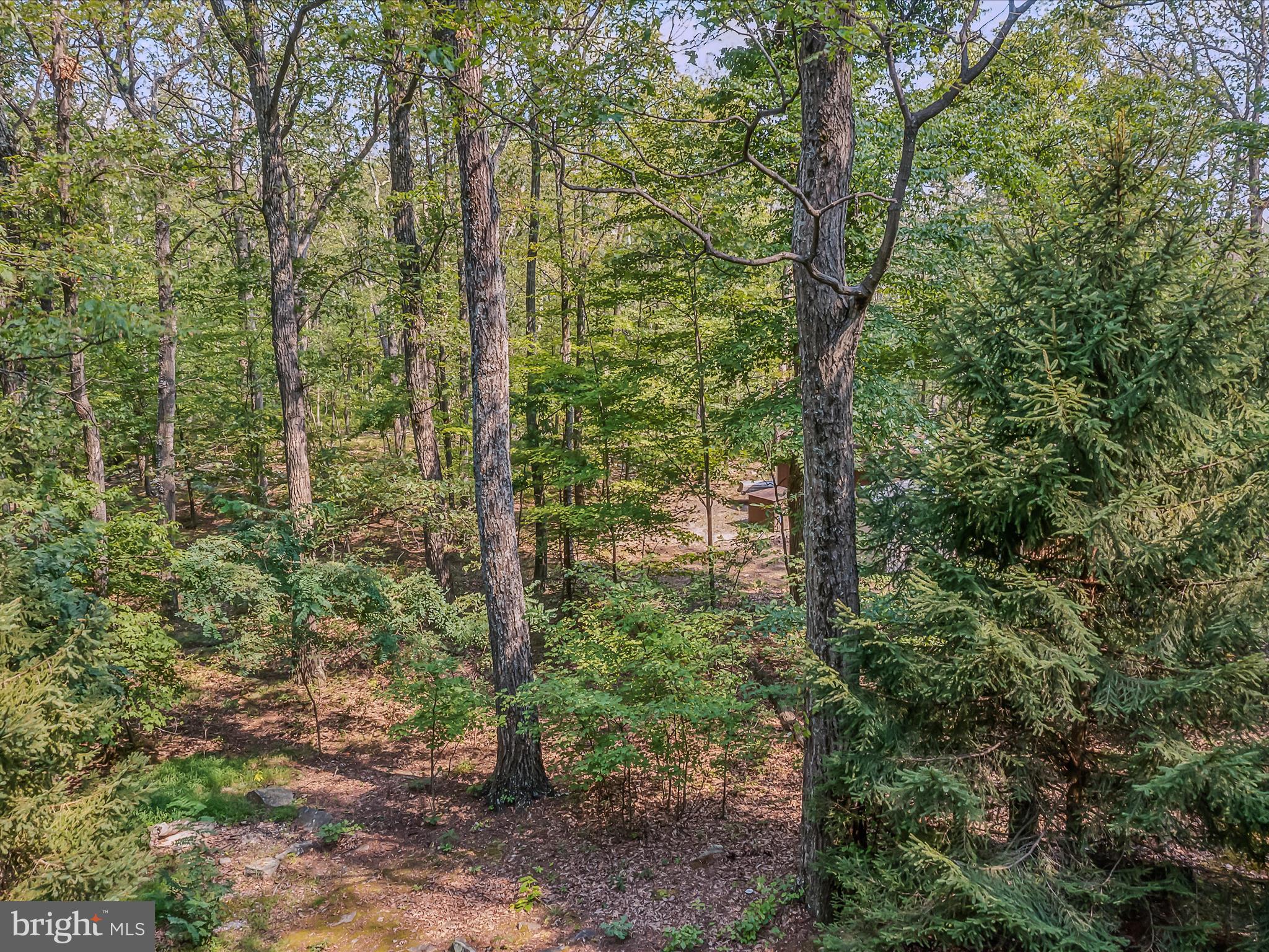 SLEEPY HOLLOW - Residential