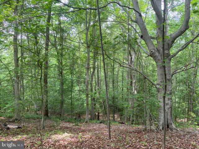 All wooded 12.5424 acre parcel located on Mason Springs Road in Ironsides. Recreational property suitable for hunting and other recreational uses. Property has not been perced as yet. Northern boundary of the parcel is along Jane Berry's Run. Property is assessed Agricultural and is in a Forest Stewardship Plan with the State.