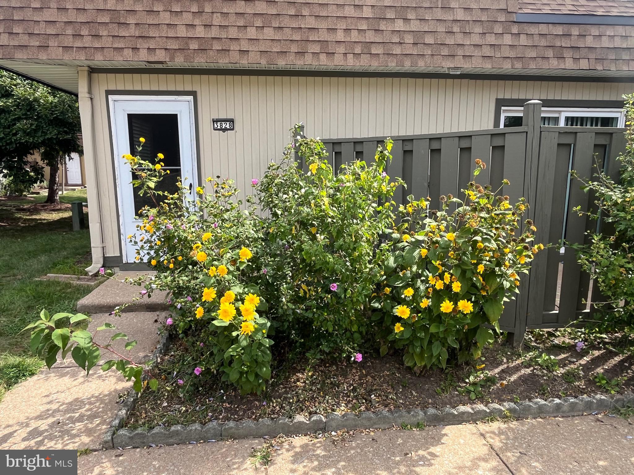 3828 MONTE VISTA PLACE 102B