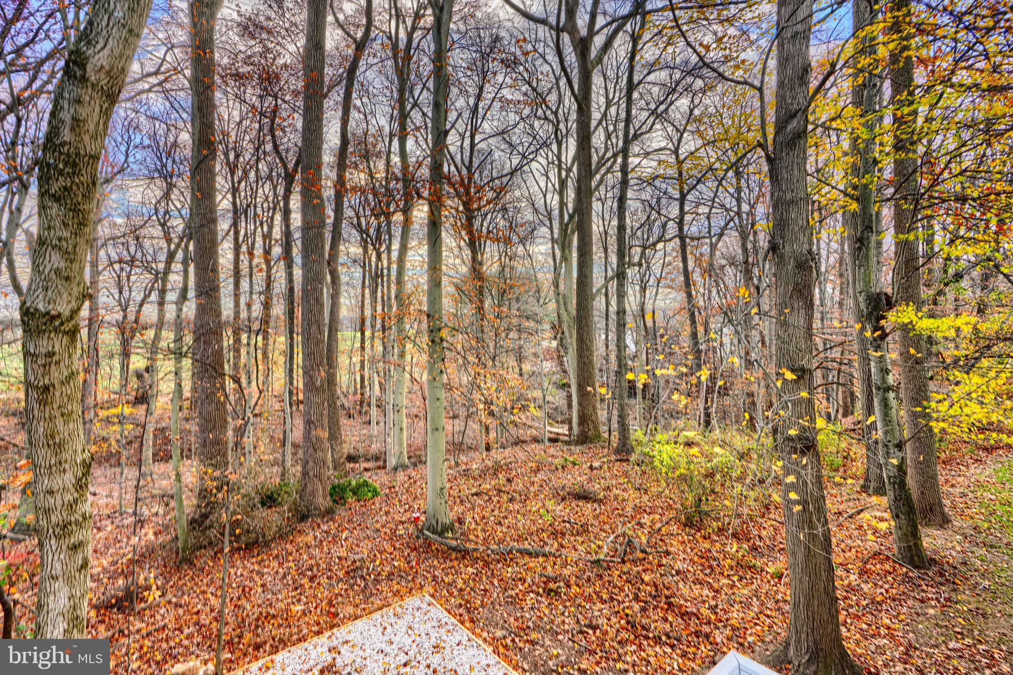 BRIERHILL ESTATES - Residential