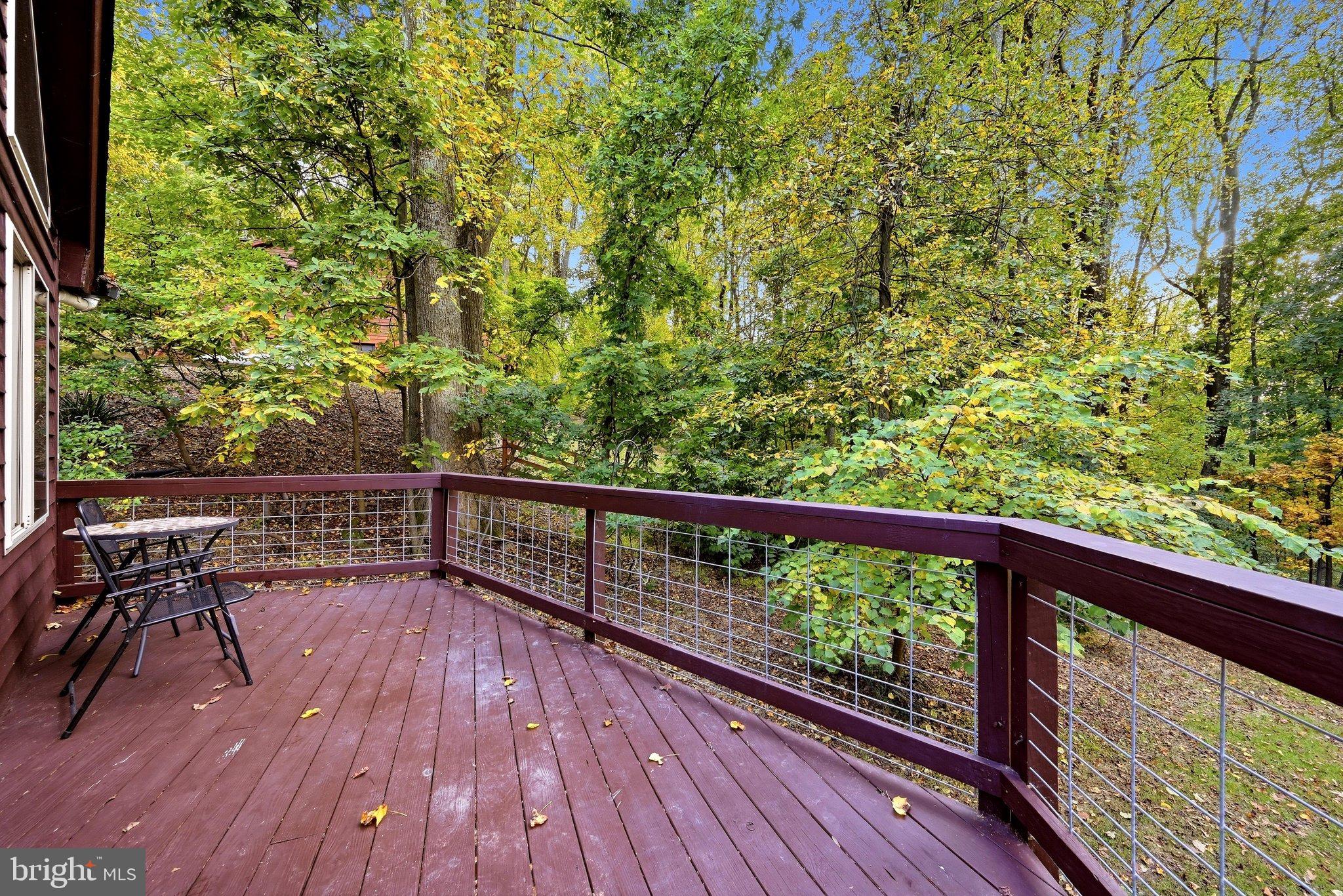 230 SKYLINE VIEW DRIVE