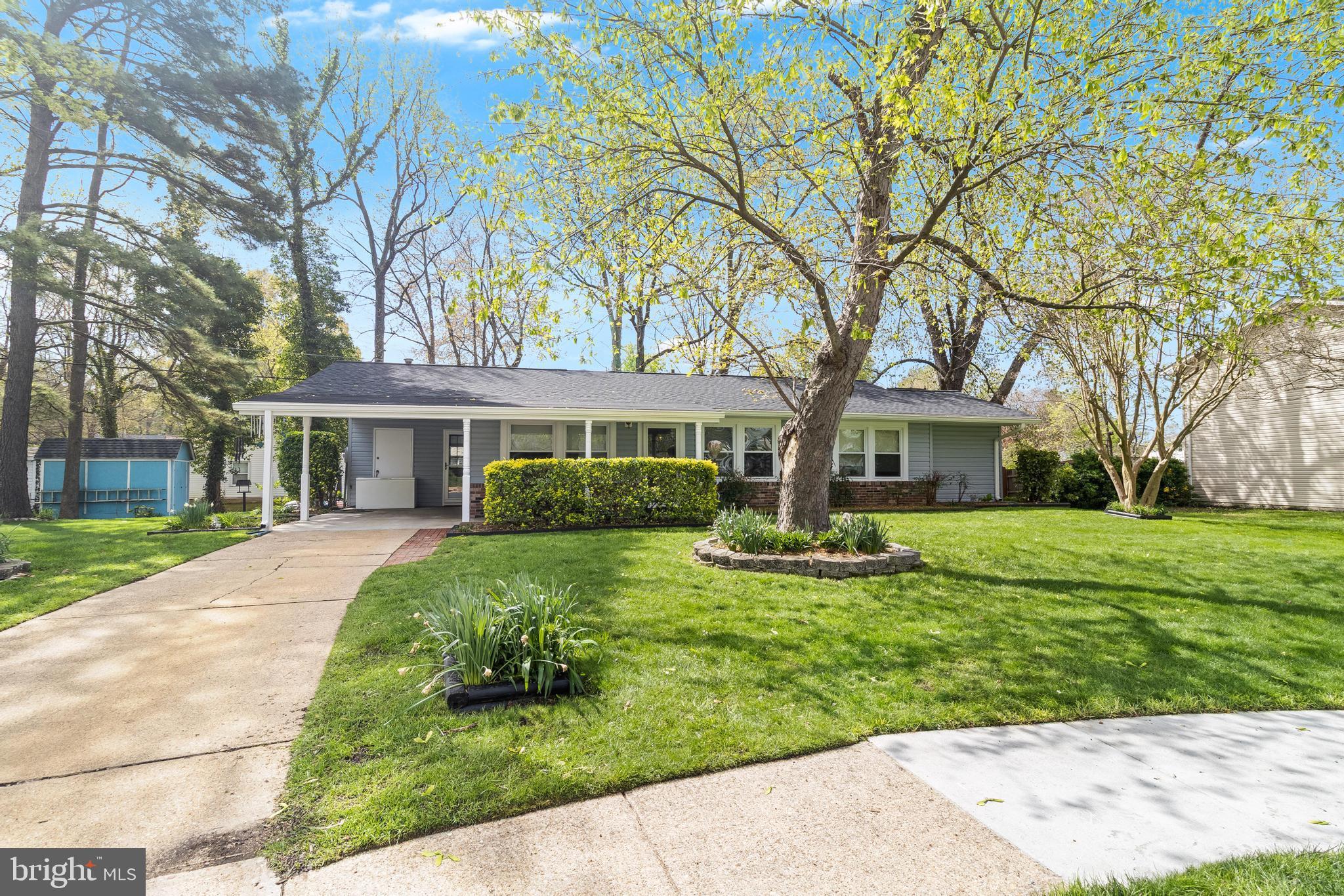 803 AVEDON COURT