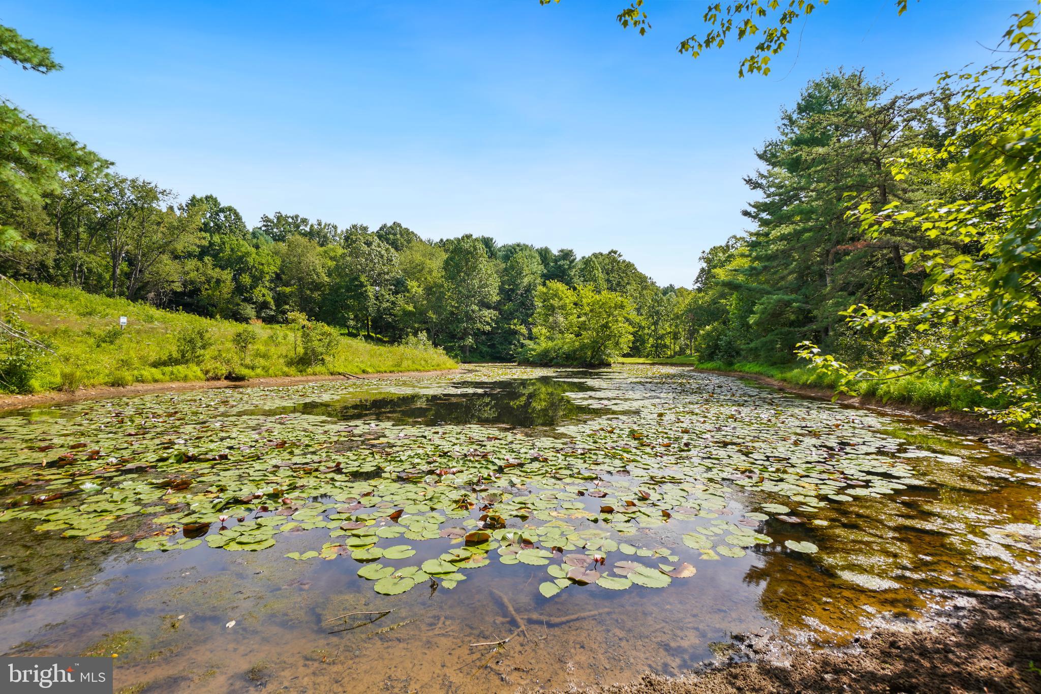 MAYDALE - Residential Lease