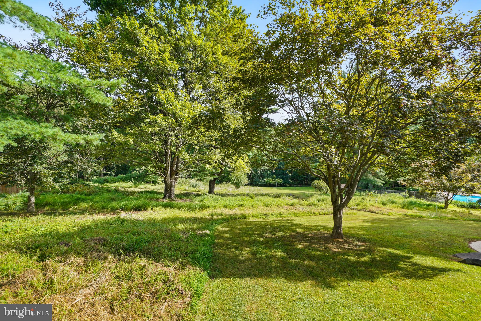 MAYDALE - Residential Lease