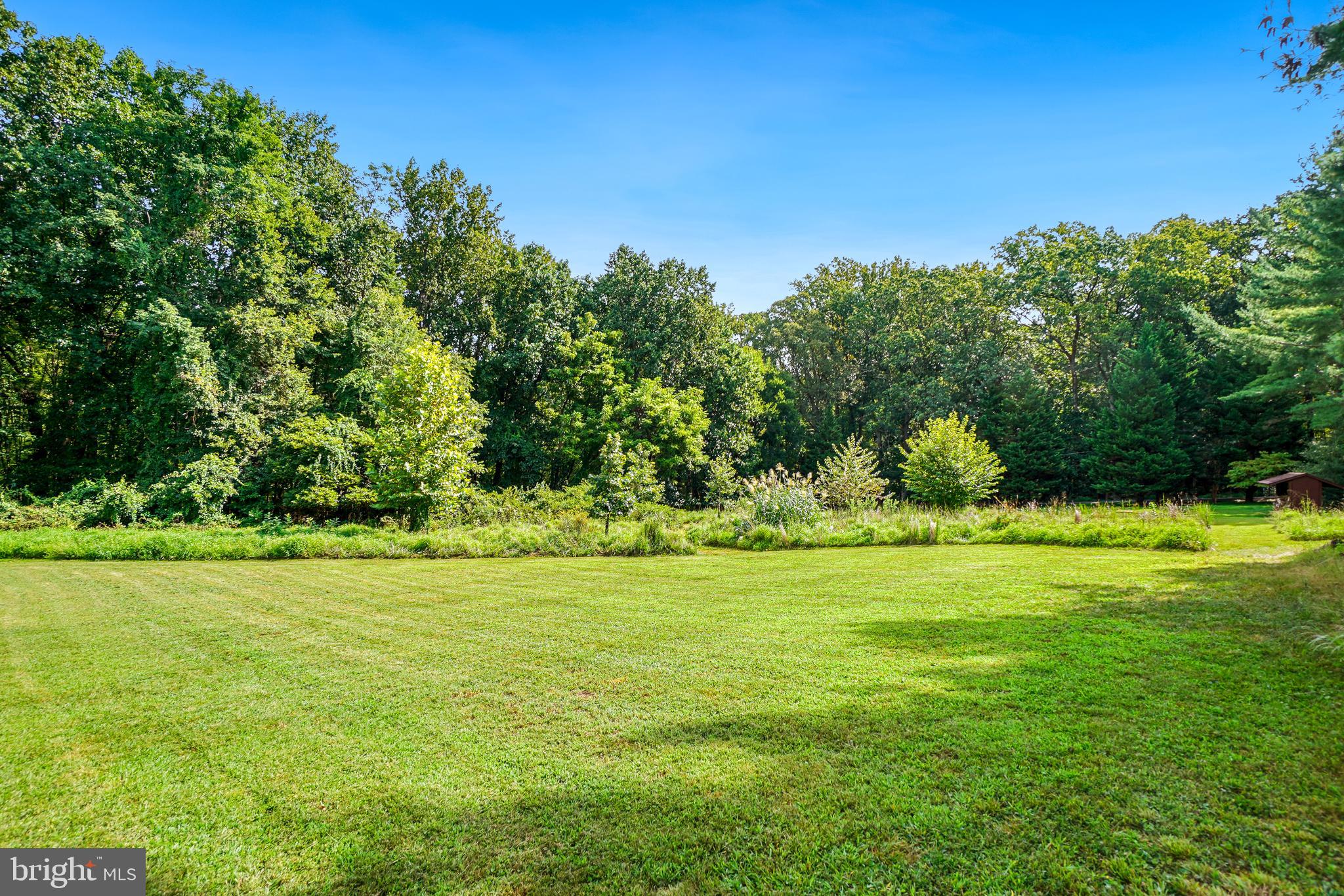 MAYDALE - Residential Lease