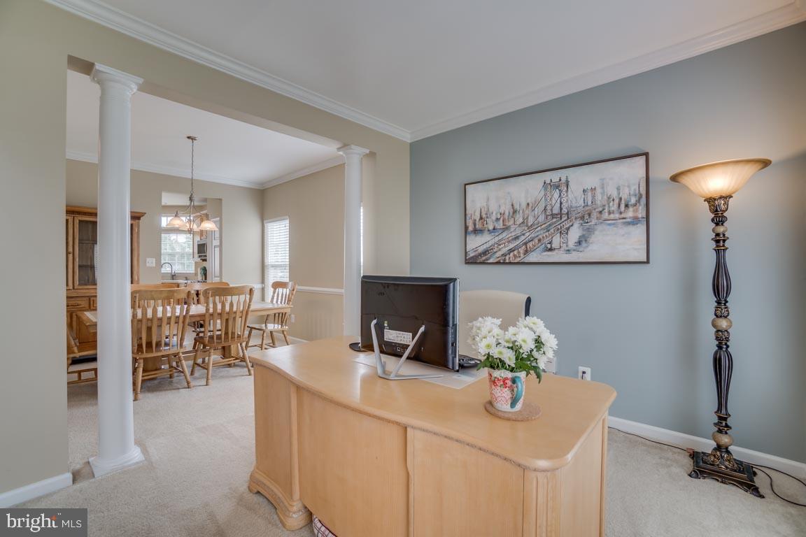 LEE'S PARKE - THE FALLS - Residential