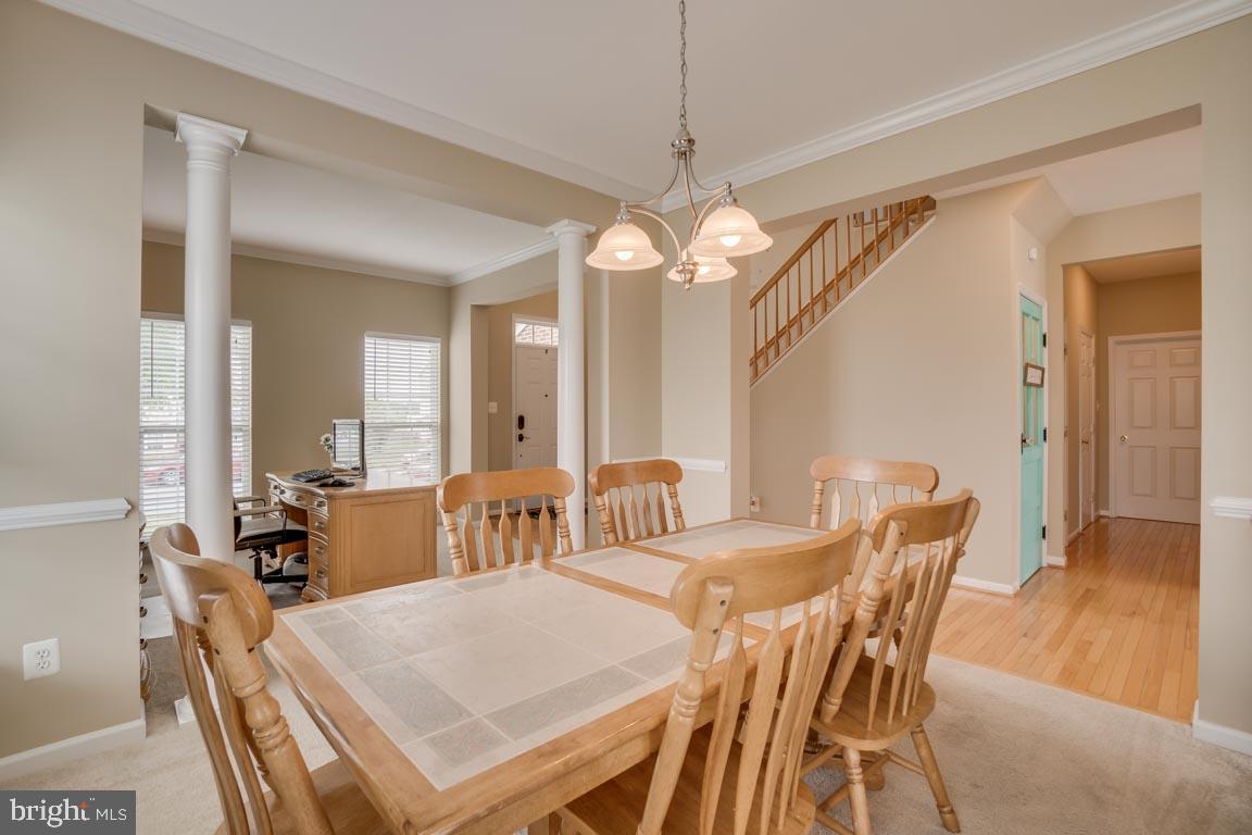 LEE'S PARKE - THE FALLS - Residential