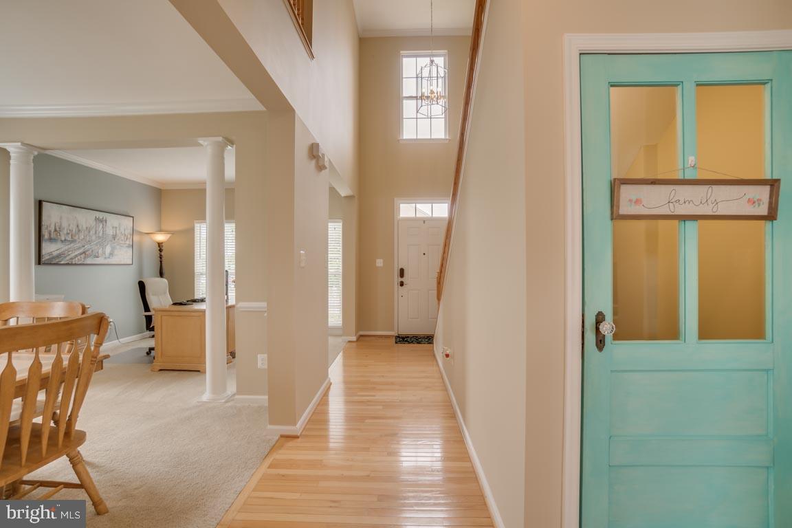 LEE'S PARKE - THE FALLS - Residential