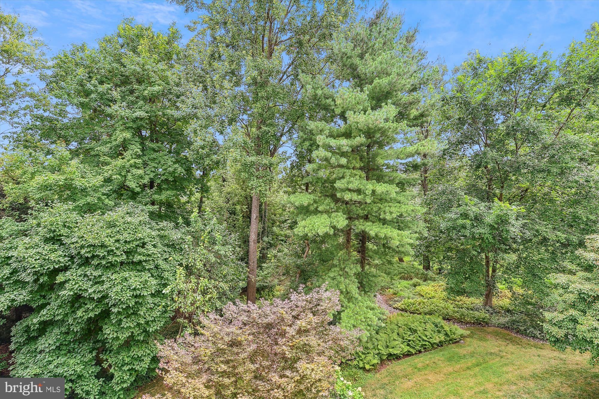 THORNTON WOOD - Residential