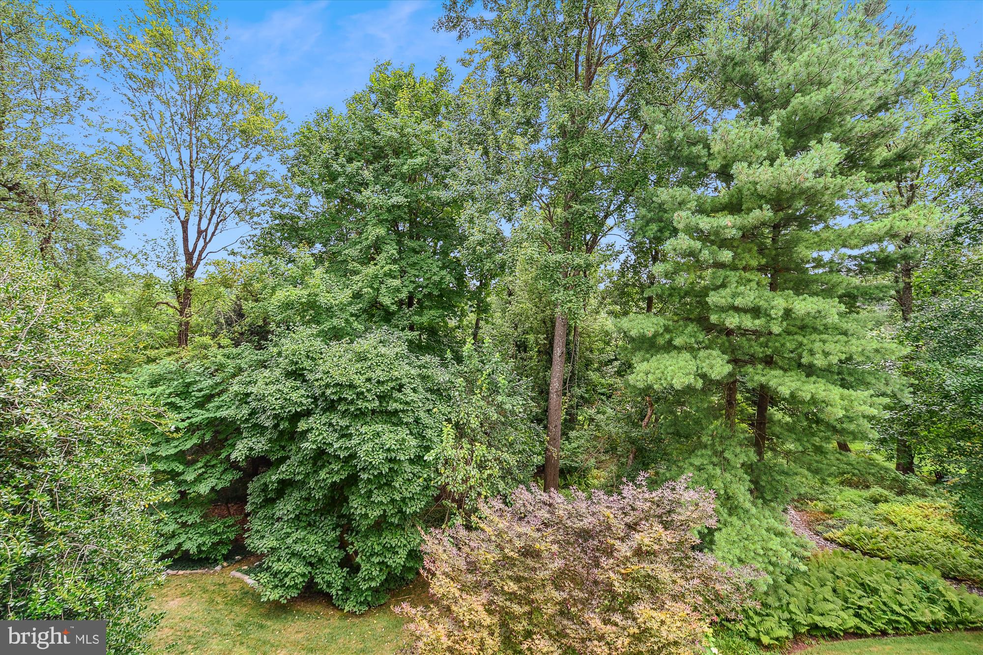 THORNTON WOOD - Residential