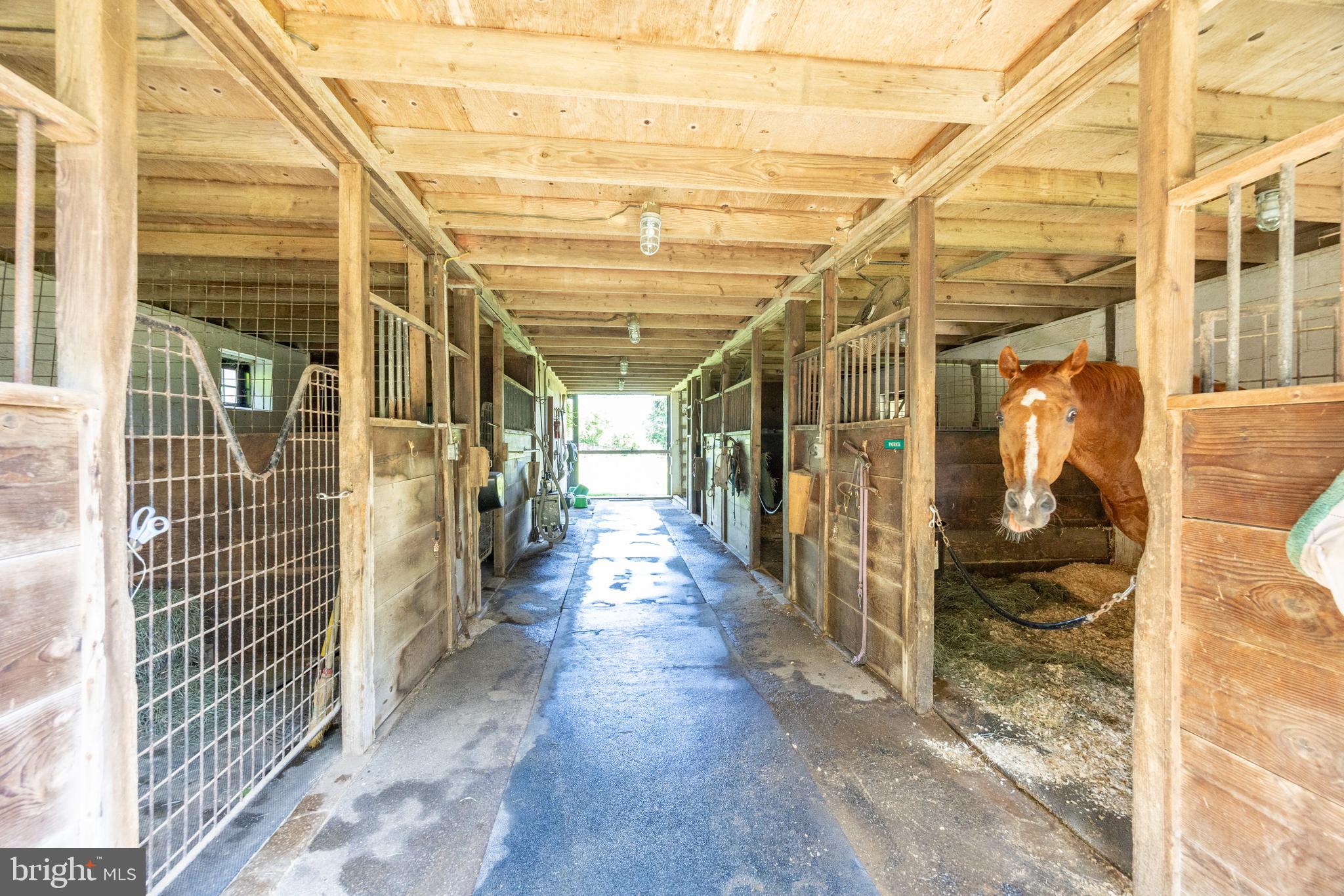 CHESHIRE HUNT - Residential