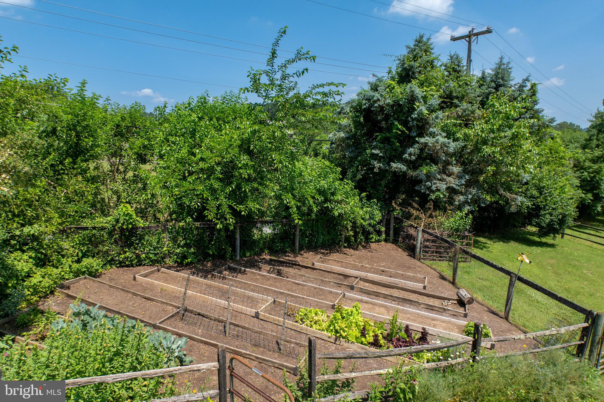 CHESHIRE HUNT - Residential