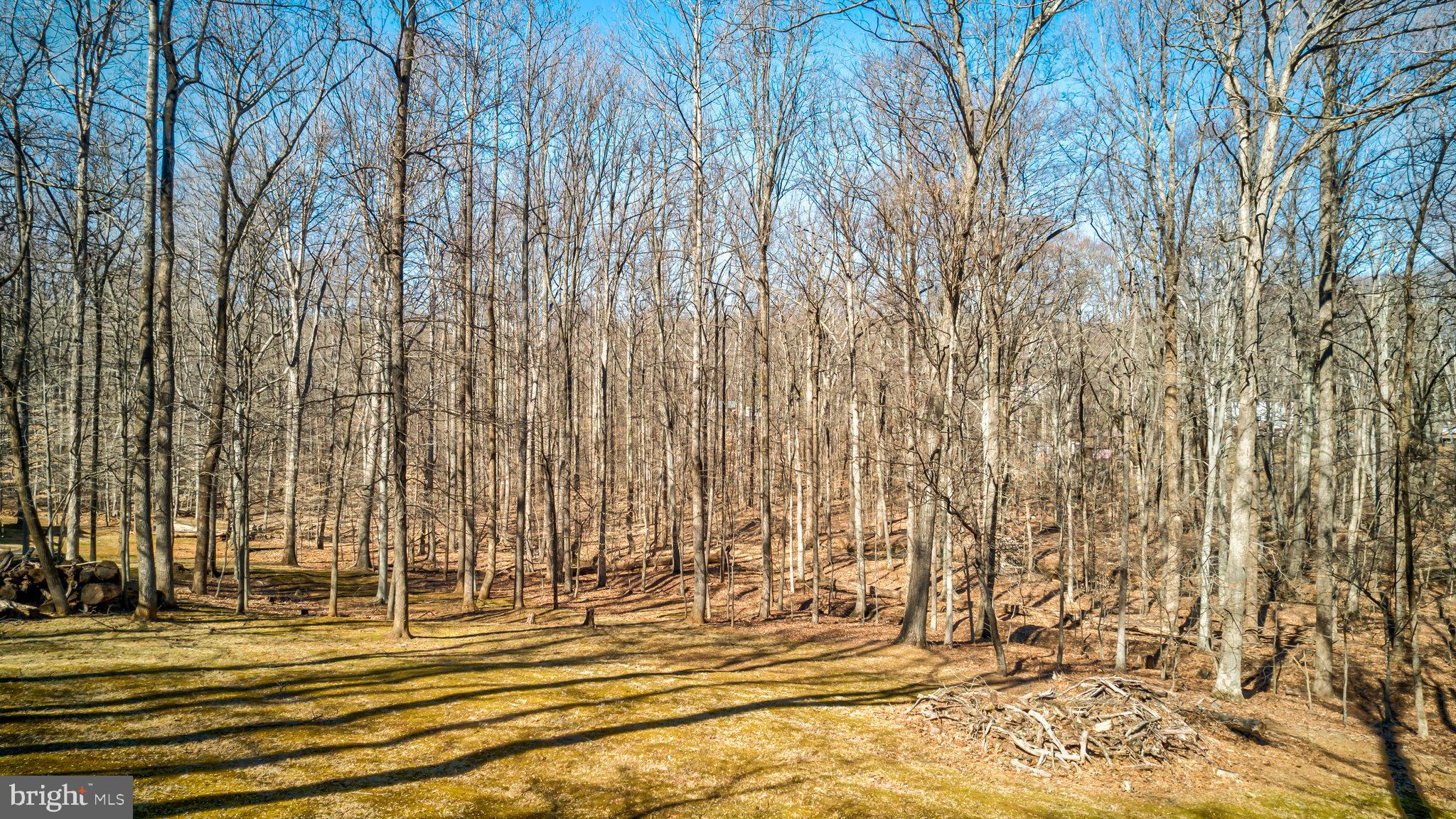 ELWOOD J GOODWIN SUB - Residential