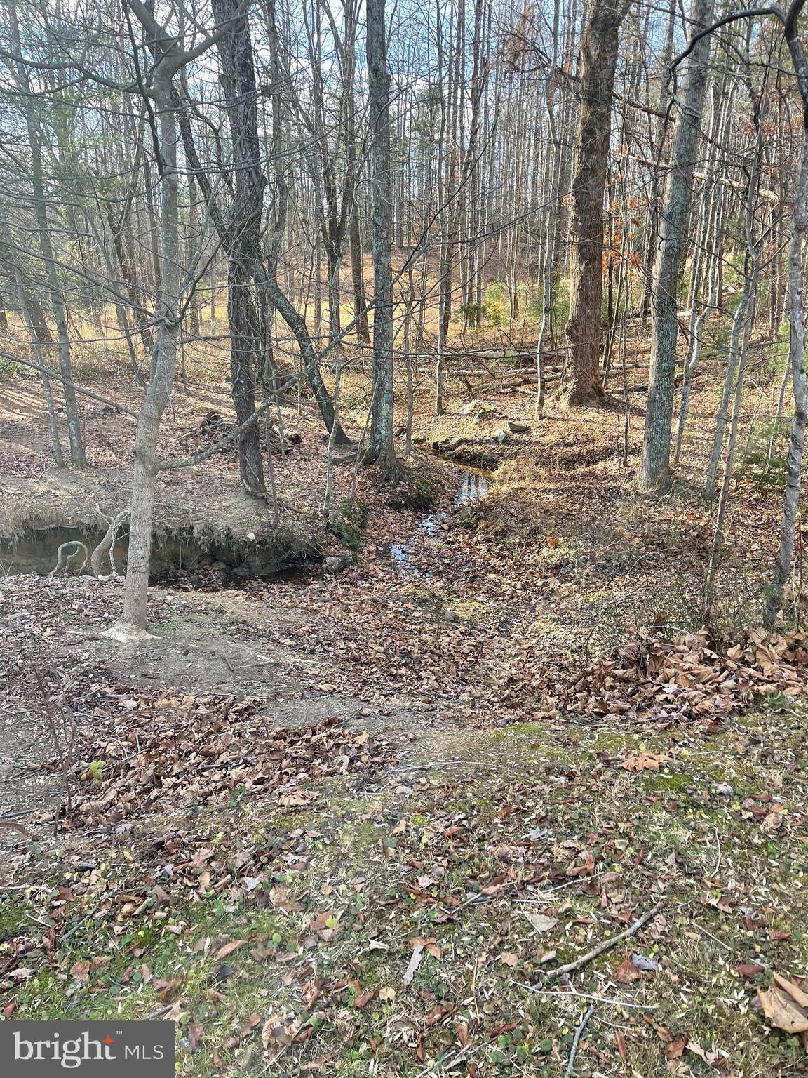 ABINGTON PLACE - Residential