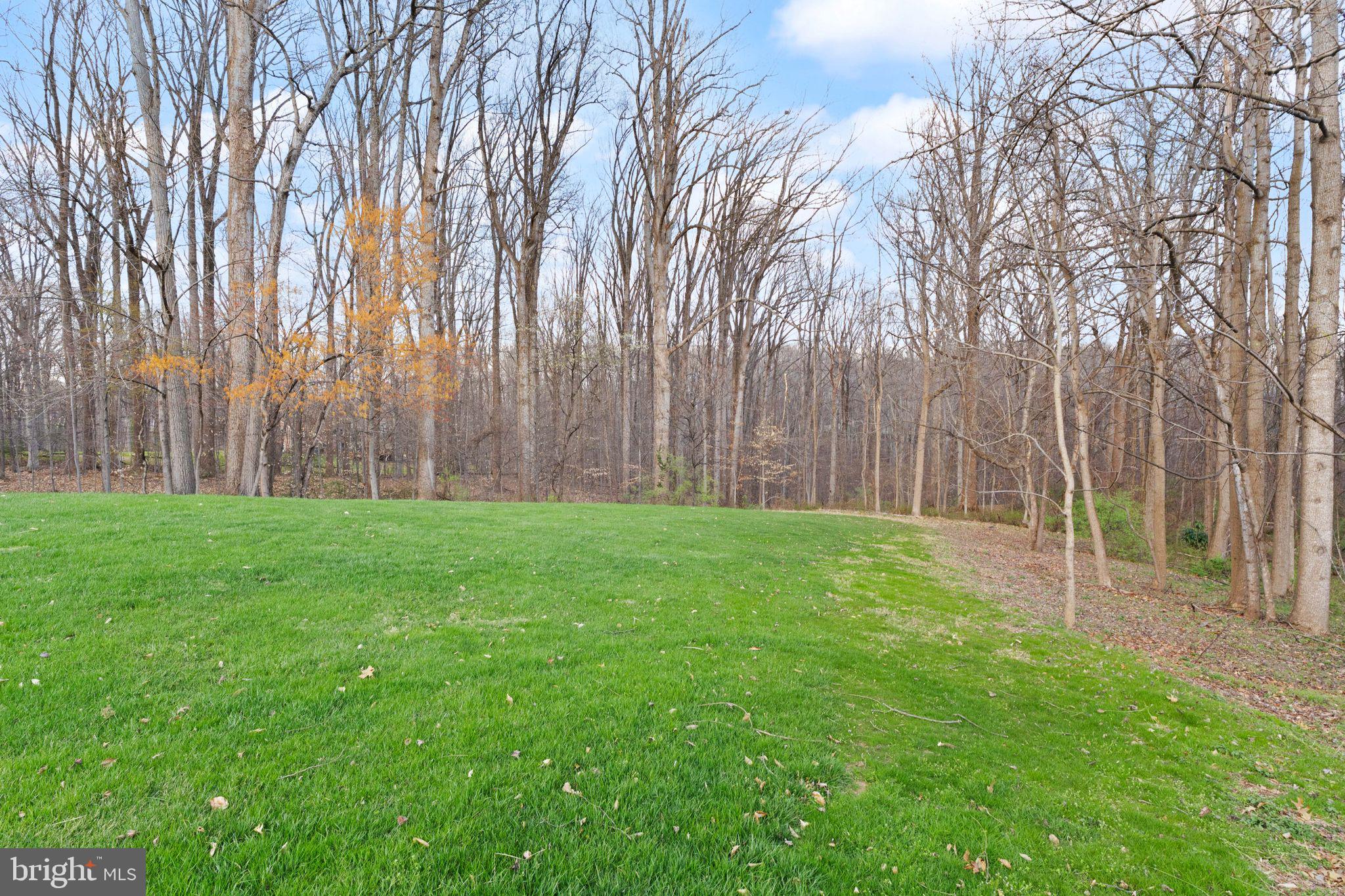 CASTLE BRANCH - Residential