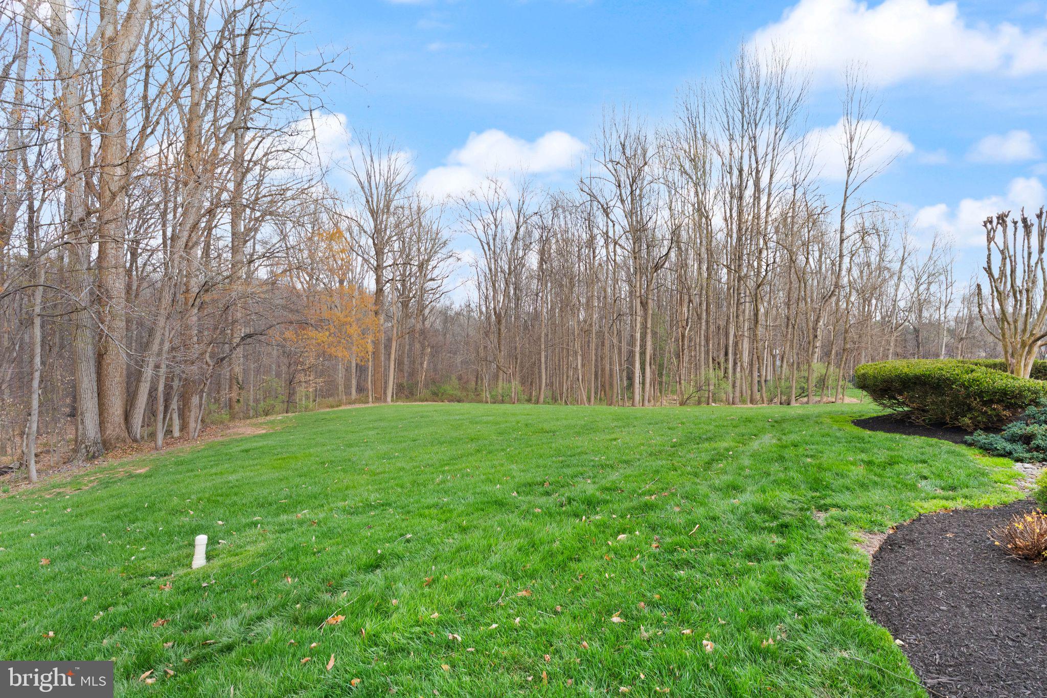 CASTLE BRANCH - Residential