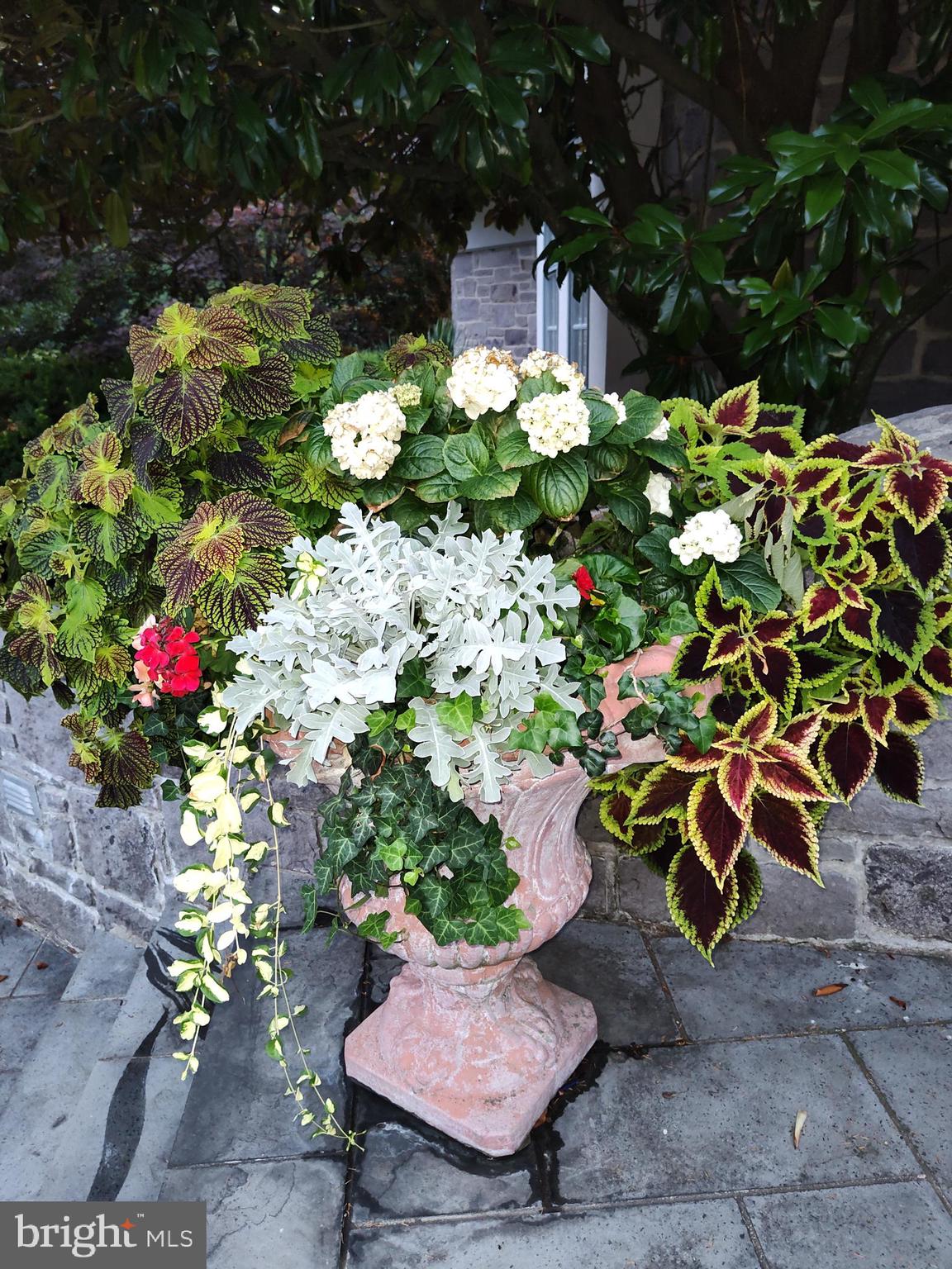 HUNTINGDON VALLEY - Residential