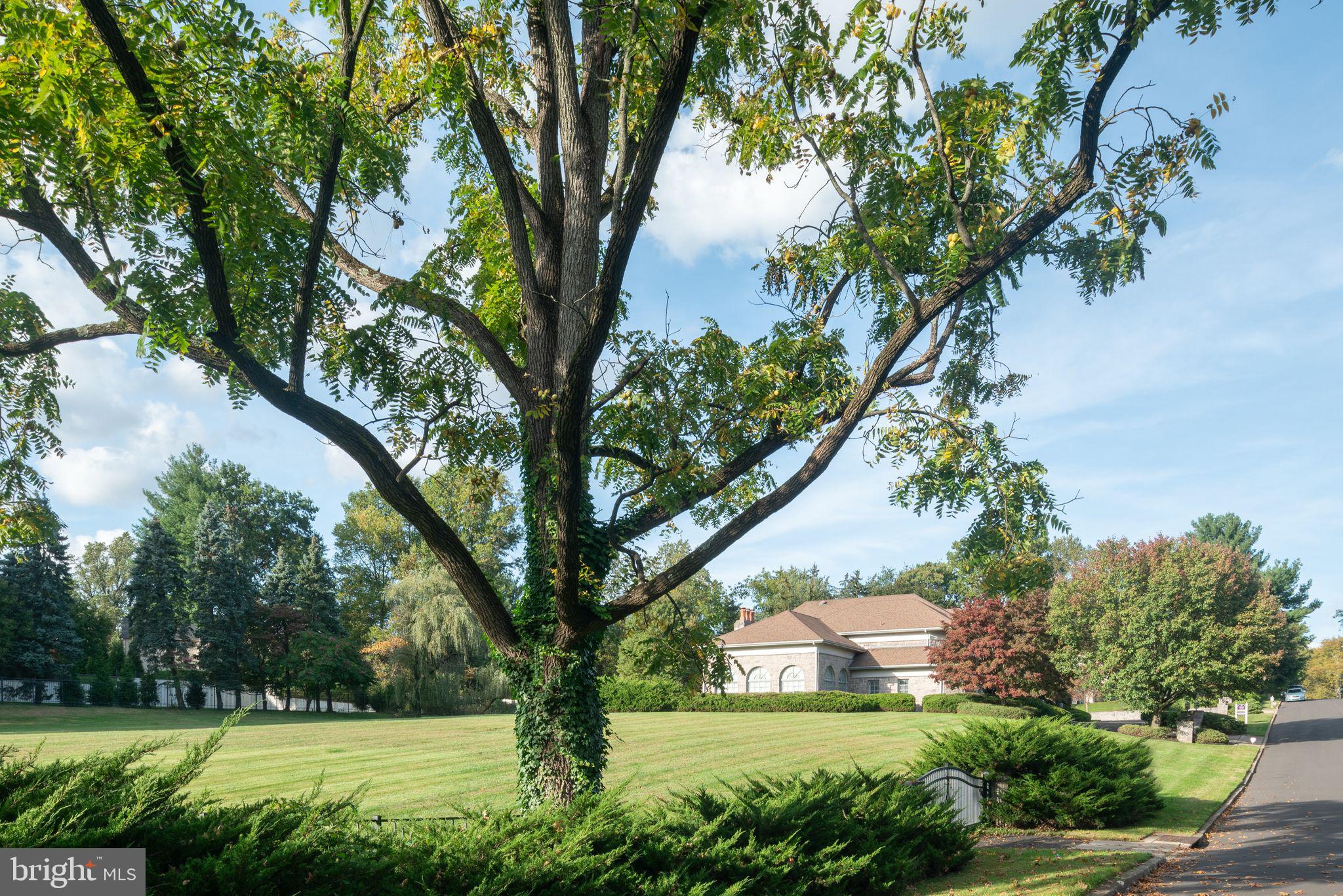 HUNTINGDON VALLEY - Residential