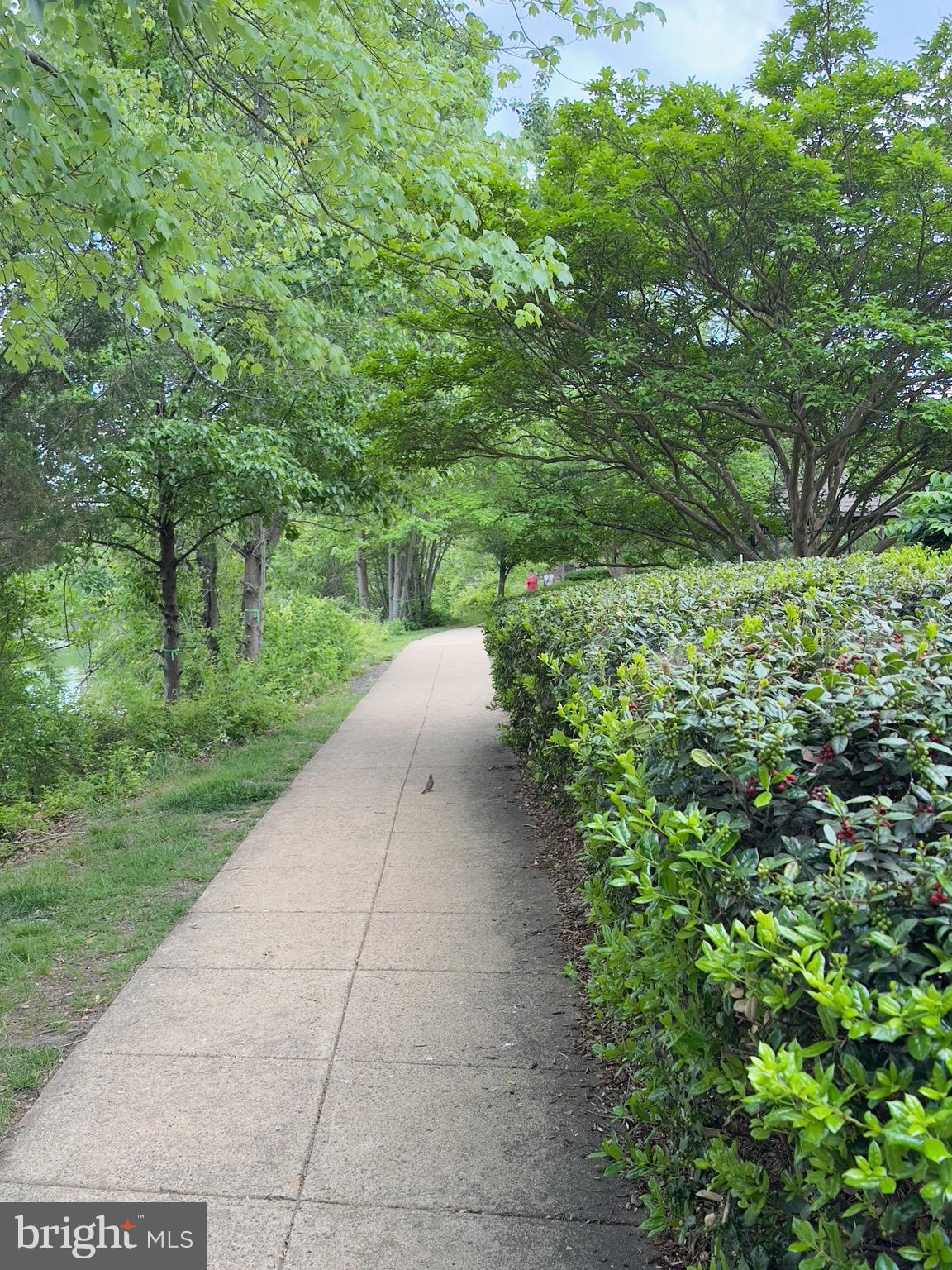 CHANCERY OF KINGSTOWNE - Residential Lease