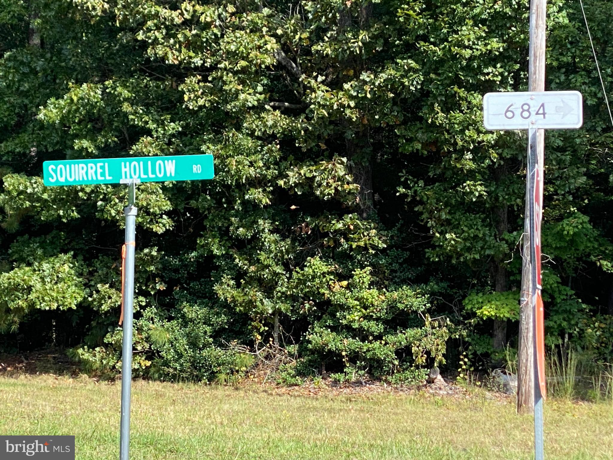 684 SQUIRREL HOLLOW ROAD