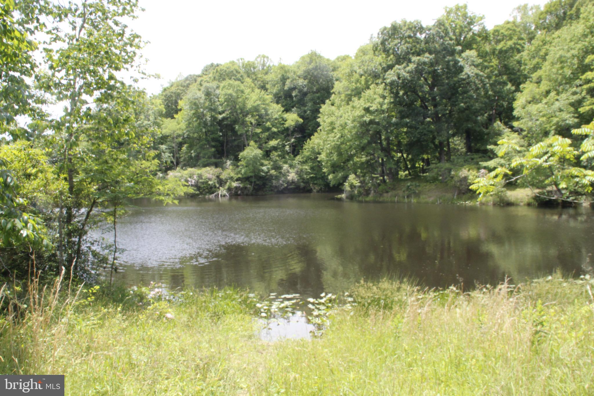 OLD PROSPECT LANDING - Land