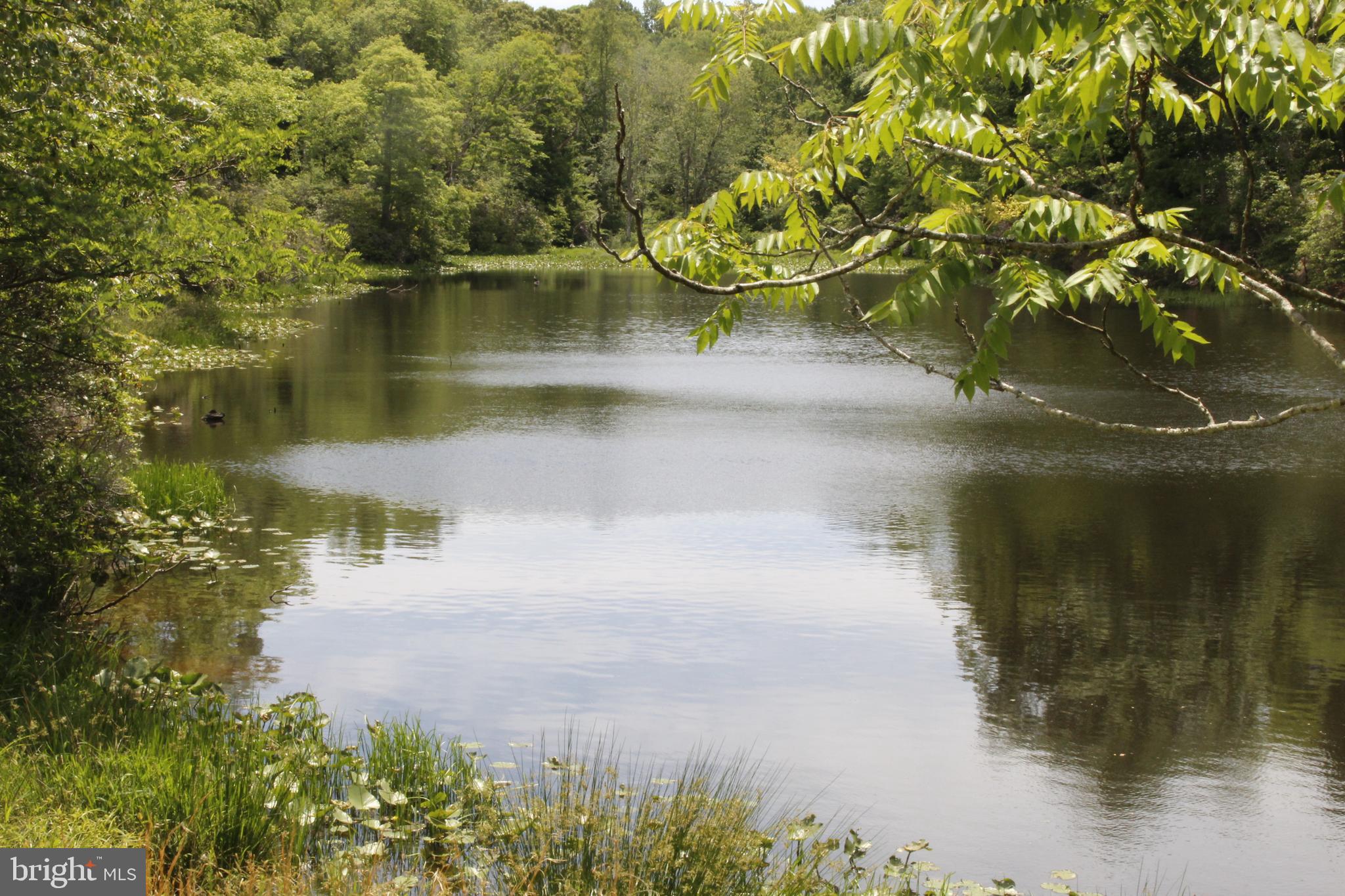 OLD PROSPECT LANDING - Land