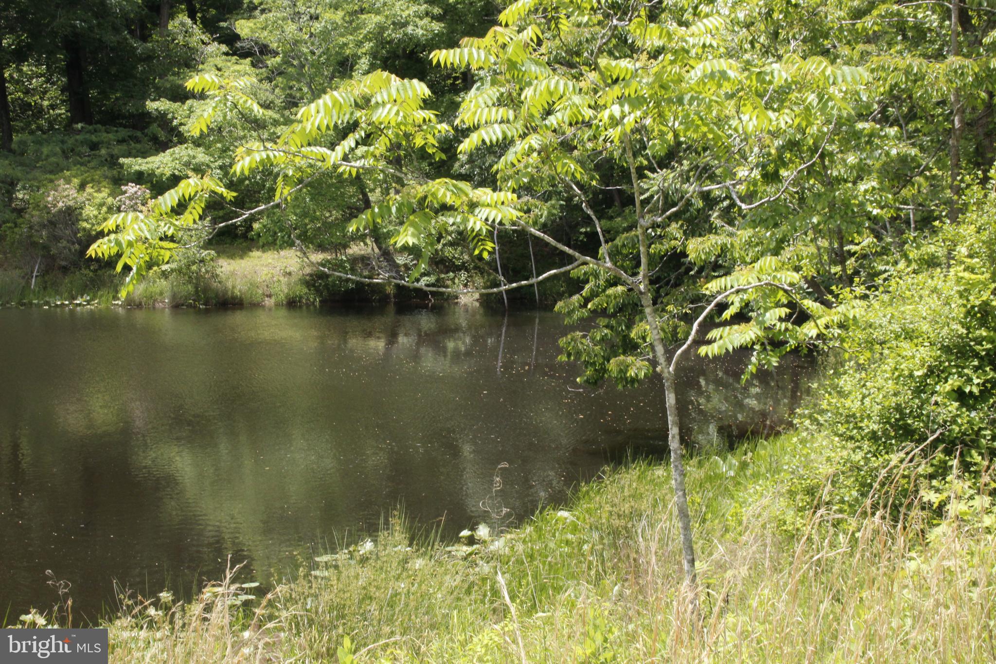 OLD PROSPECT LANDING - Land
