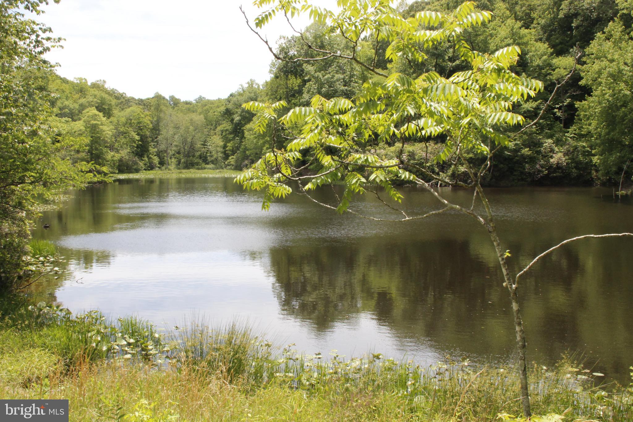 OLD PROSPECT LANDING - Land