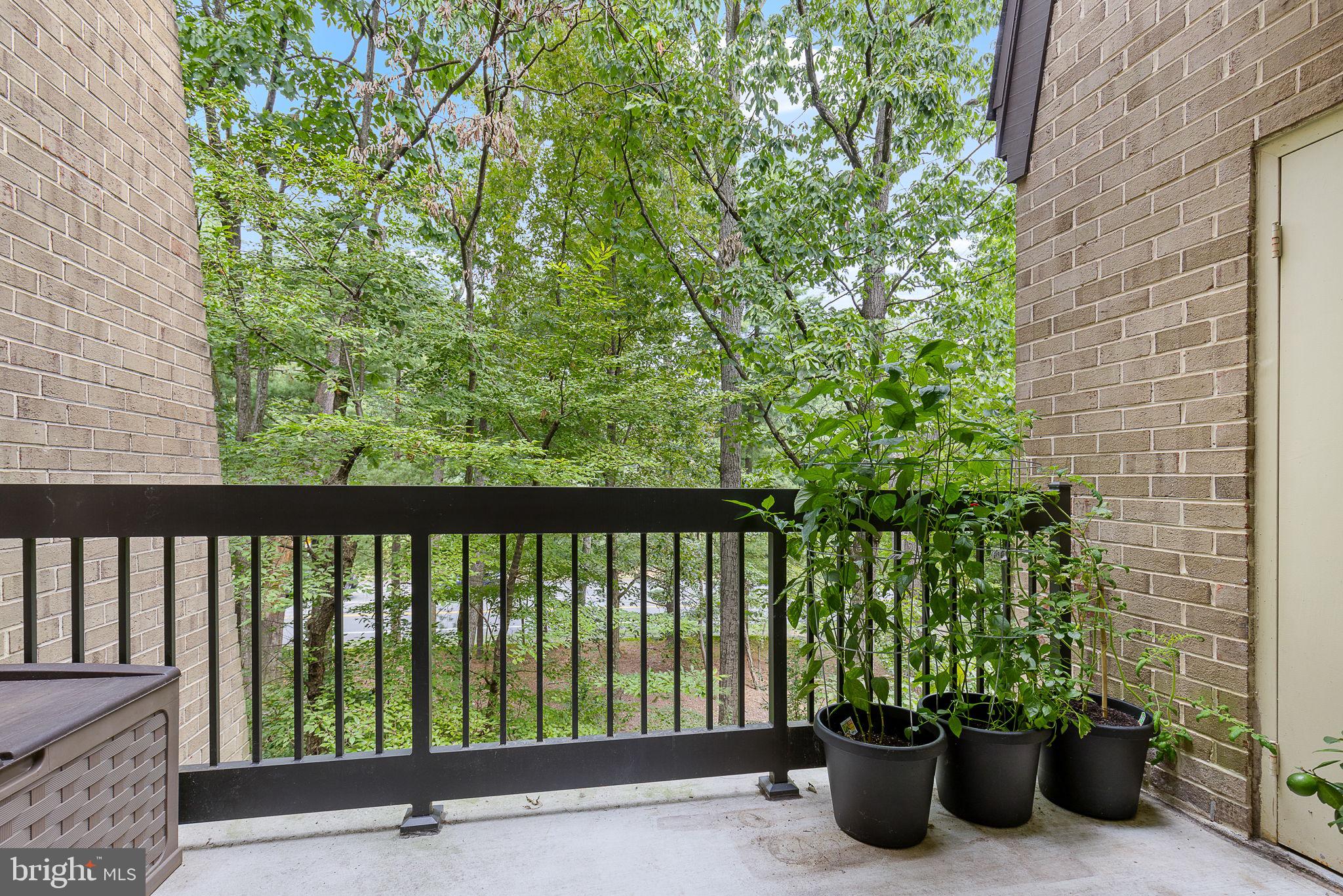 11557 ROLLING GREEN COURT 301