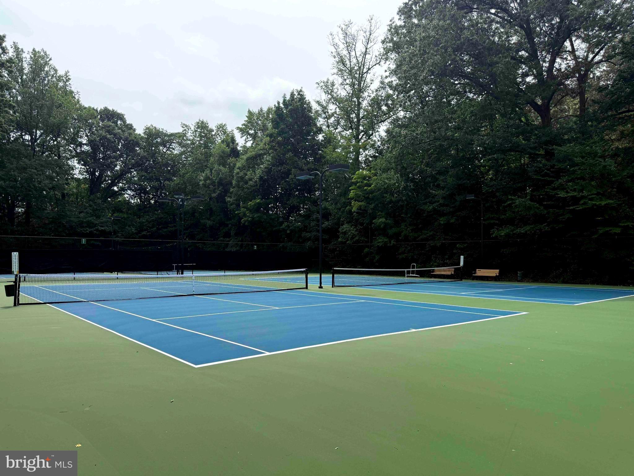 11557 ROLLING GREEN COURT 301