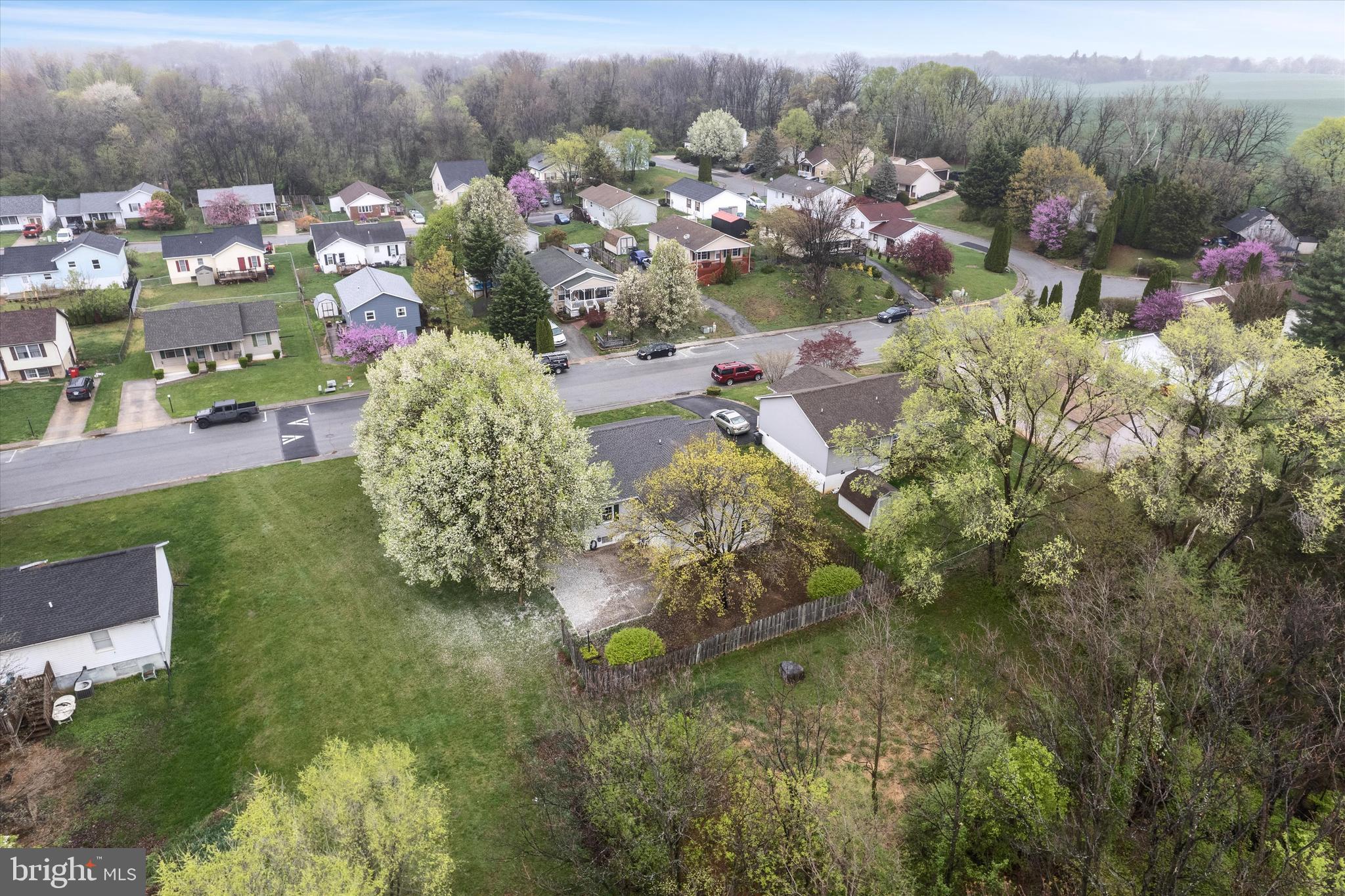 PATRICK HENRY ESTATES - Residential