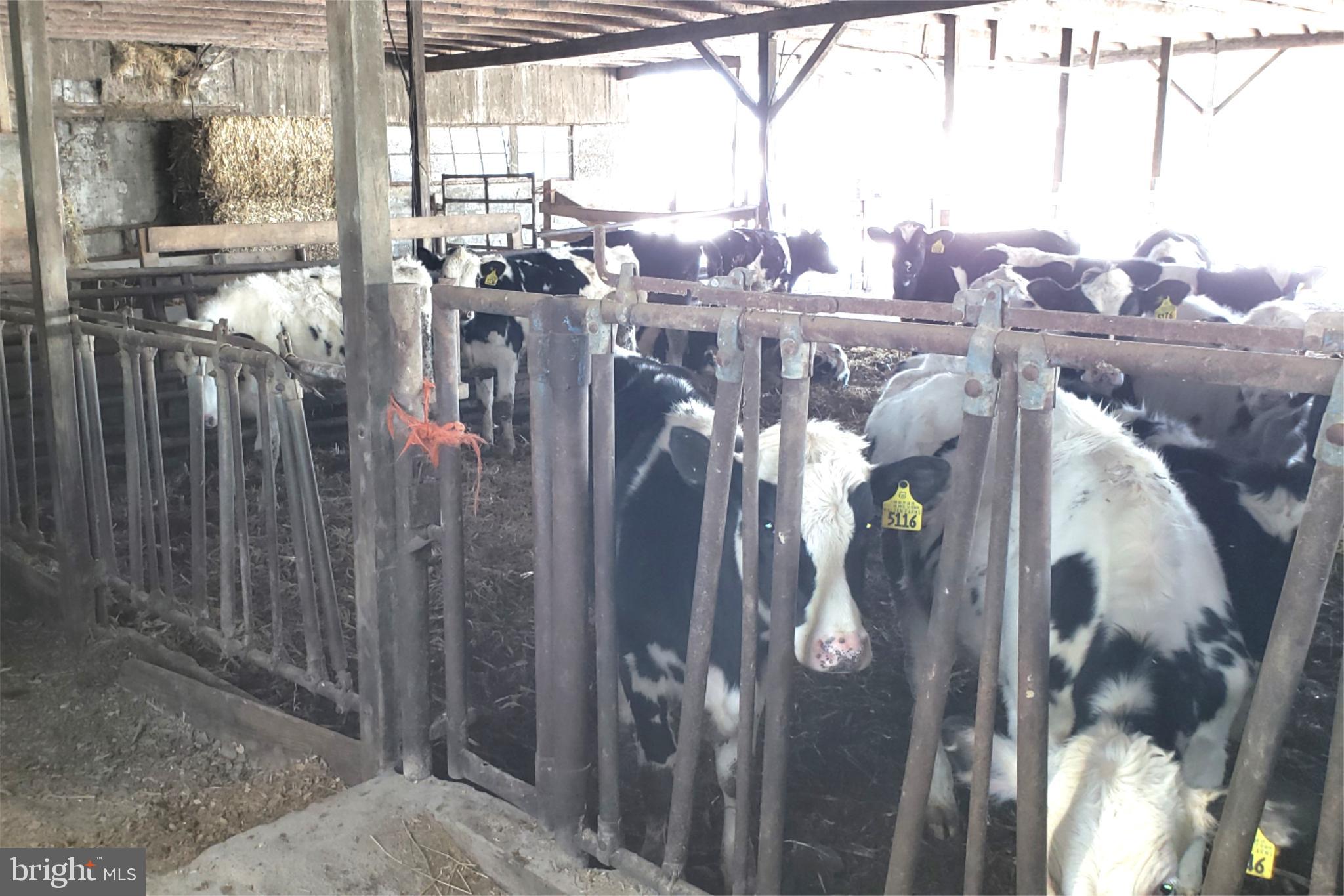 LONDONDERRY TWP - Farm