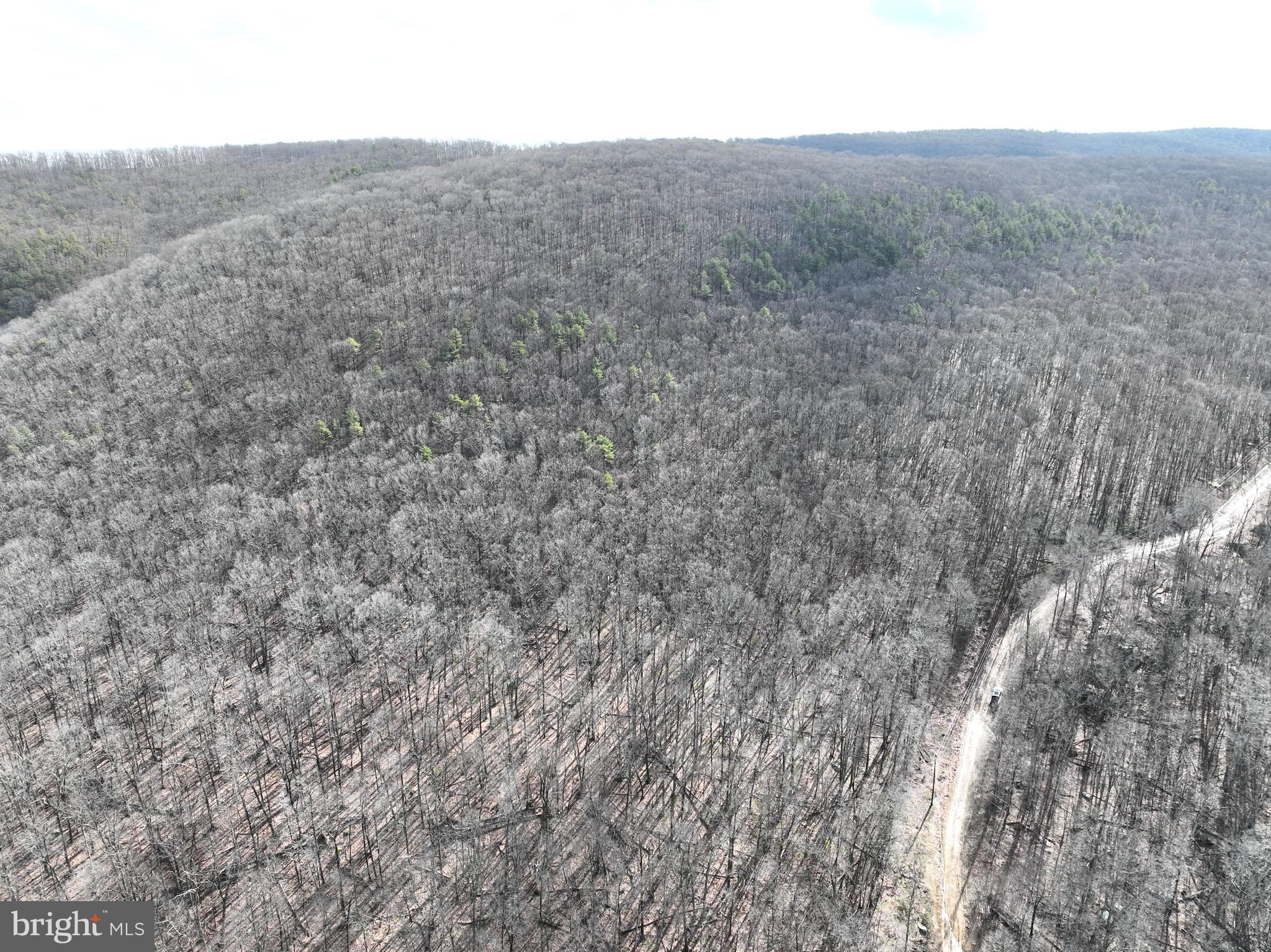 LOST RIVER GLEN - Land