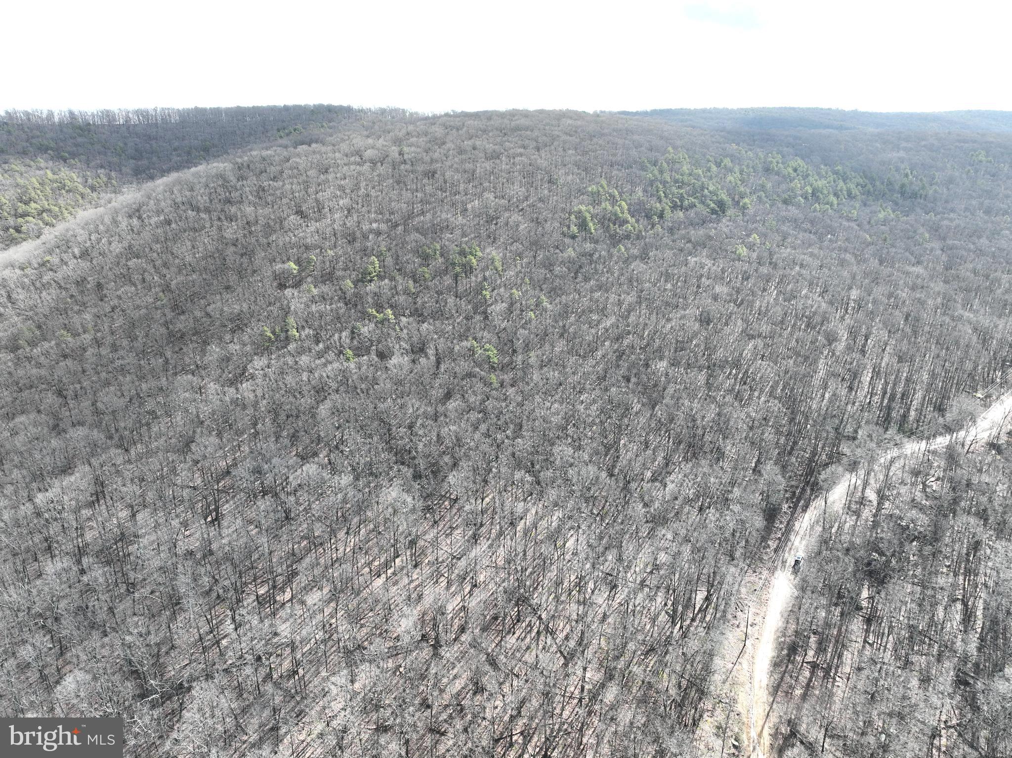 LOST RIVER GLEN - Land