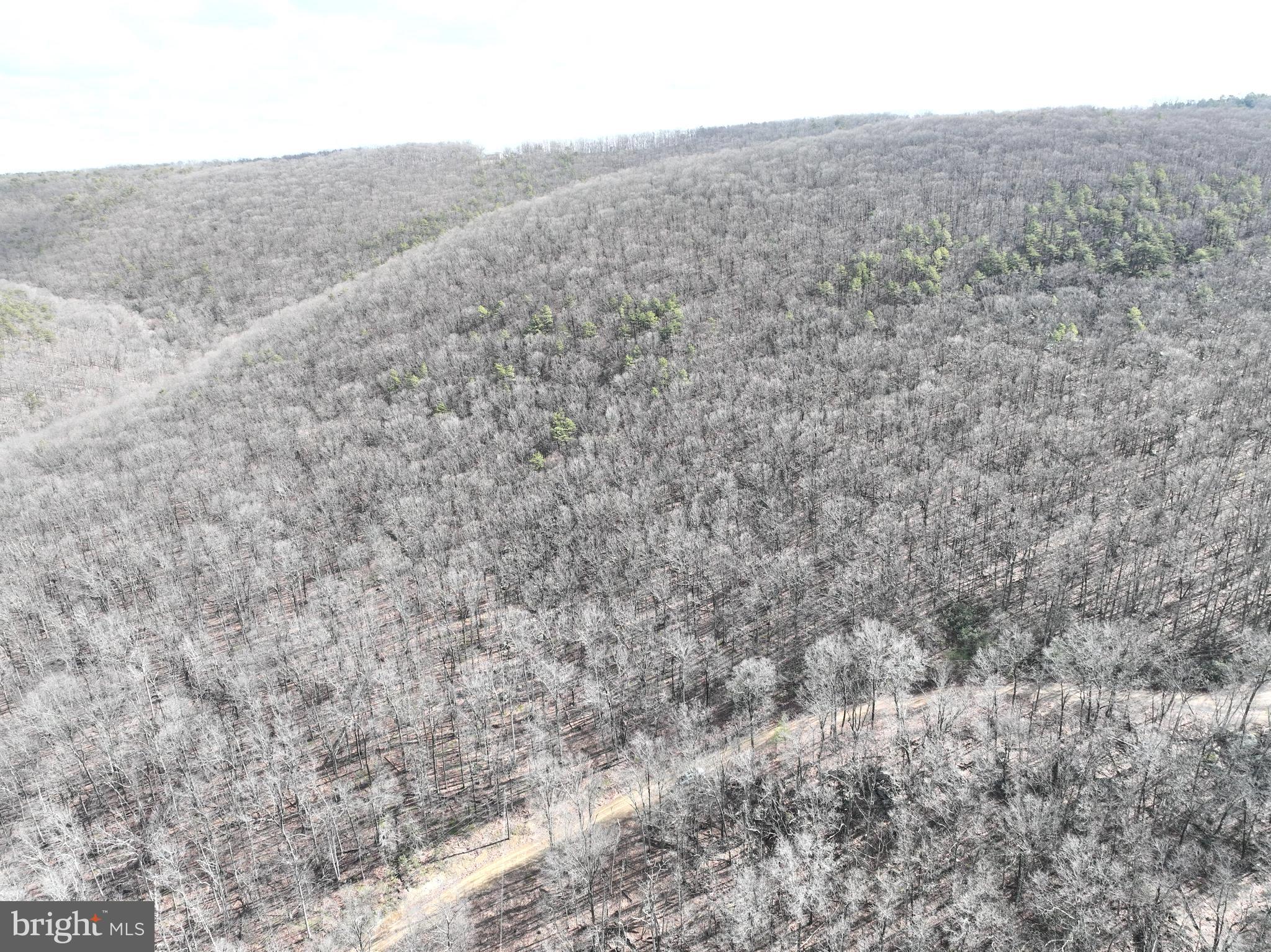 LOST RIVER GLEN - Land