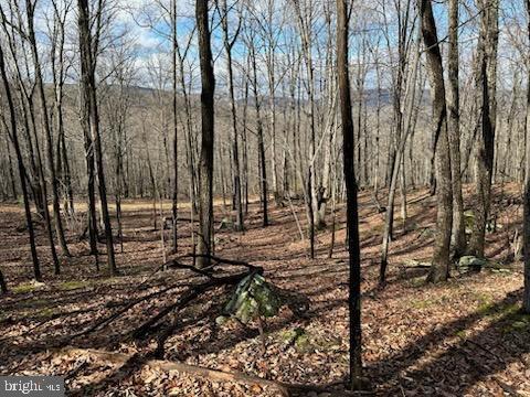 LOST RIVER GLEN - Land