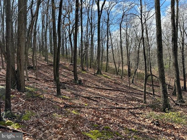 LOST RIVER GLEN - Land