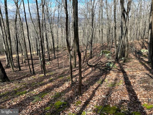 LOST RIVER GLEN - Land