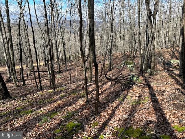 LOST RIVER GLEN - Land