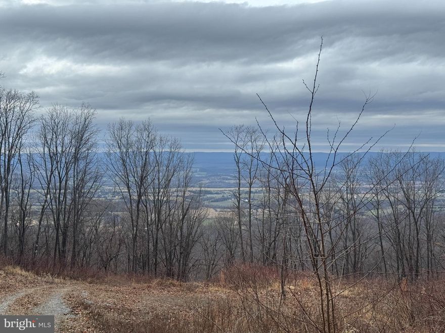 Perched high above the Shenandoah Valley, this exceptional mountain property at 3200 E Lee Highway offers breathtaking panoramic views stretching for miles across the valley floor and surrounding ridgelines.

Bordering the George Washington National Forest, this property provides direct access to thousands of acres of protected land, making it an ideal setting for outdoor enthusiasts, hunters, or anyone seeking a peaceful mountain retreat.

Several key improvements have already been completed to make building easy. The property features a newly installed well, power on site, a driveway in place, and full soil work completed. Simply bring your house plans and start building your dream cabin, mountain getaway, or full-time residence.

Whether you're looking for a private weekend escape, hunting basecamp, or future homesite with unmatched views, opportunities like this are increasingly rare.

Enjoy the beauty, privacy, and adventure of Shenandoah Valley living with National Forest access right next door.

More photos coming soon.