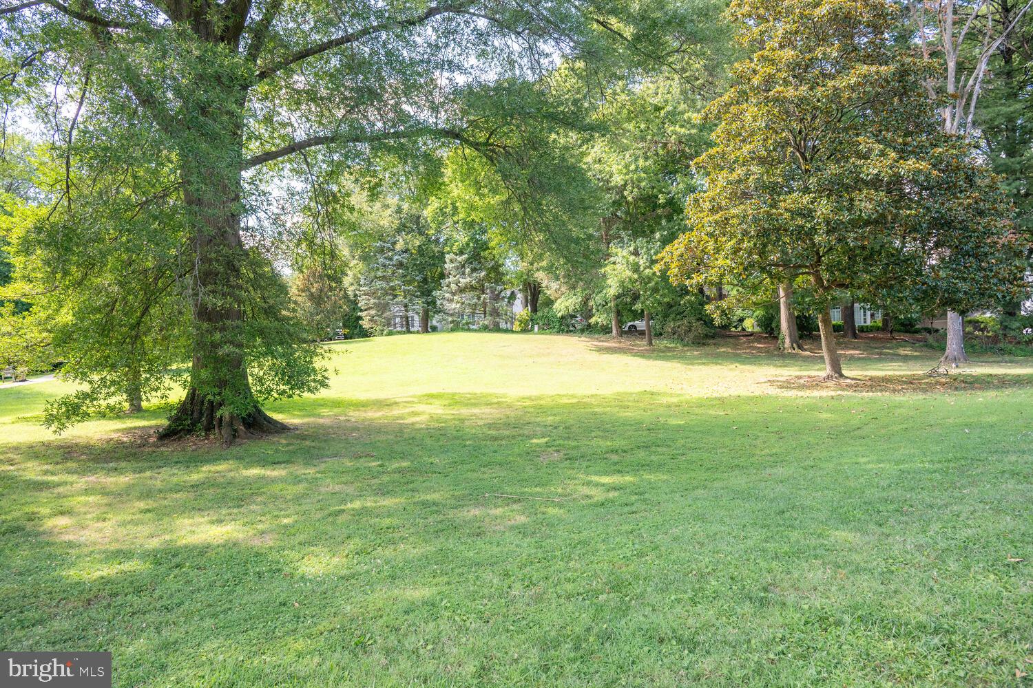 CHEVY CHASE VILLAGE - Residential