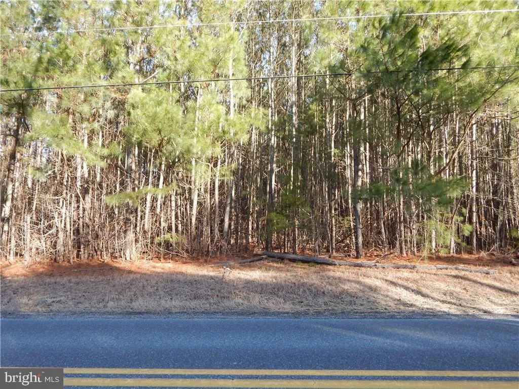 Conley Chapel Rd., Lewes, DE 19966