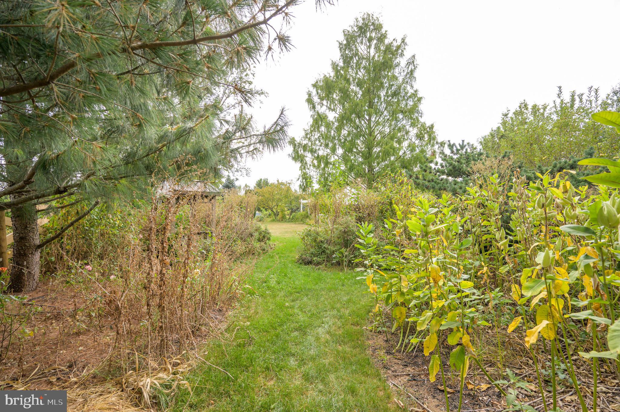 GUILFORD HILLS EAST - Residential