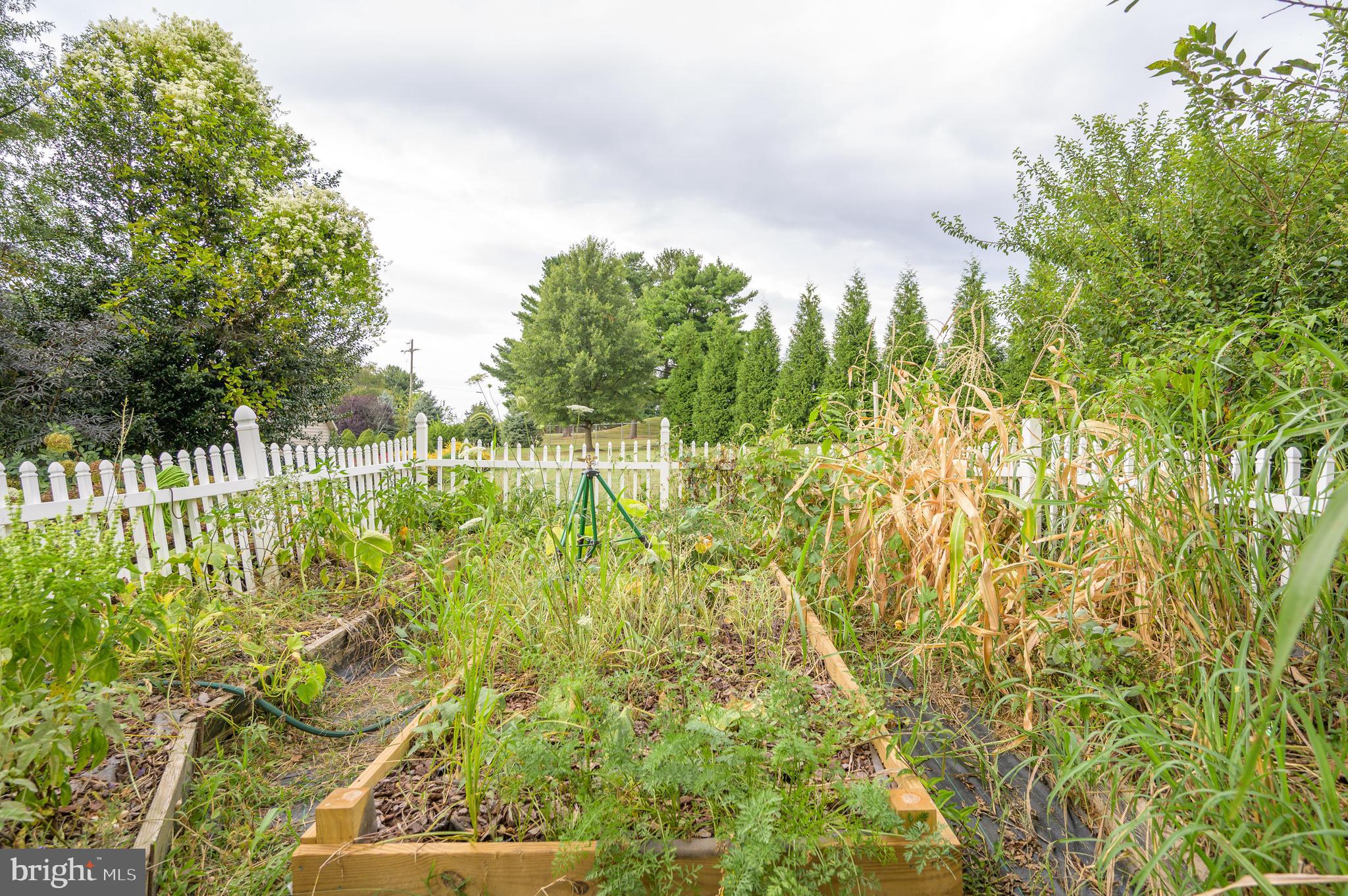 GUILFORD HILLS EAST - Residential