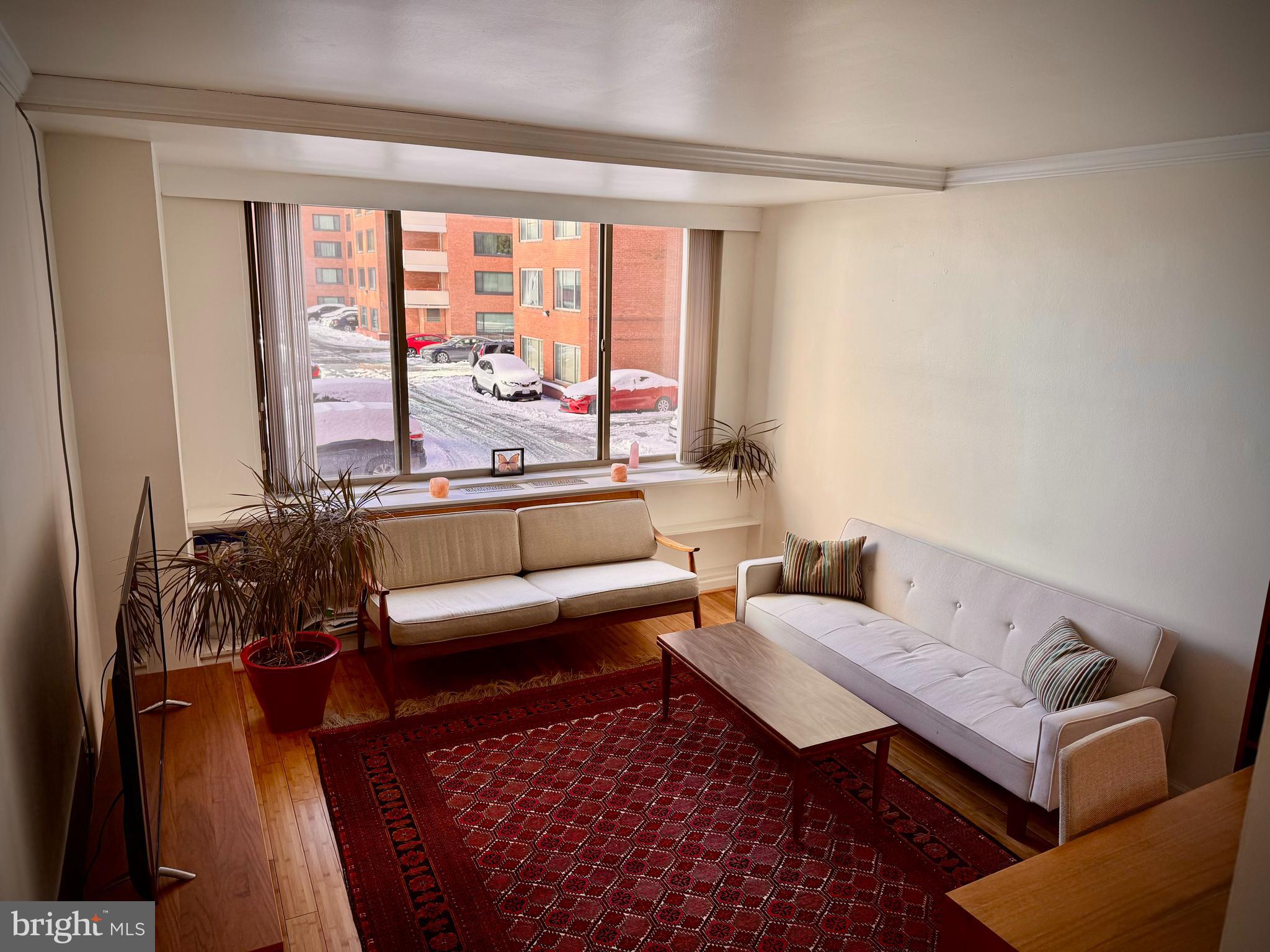 1121 ARLINGTON BOULEVARD 216