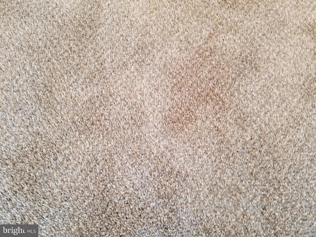 RIVER VIEW PARK - Residential